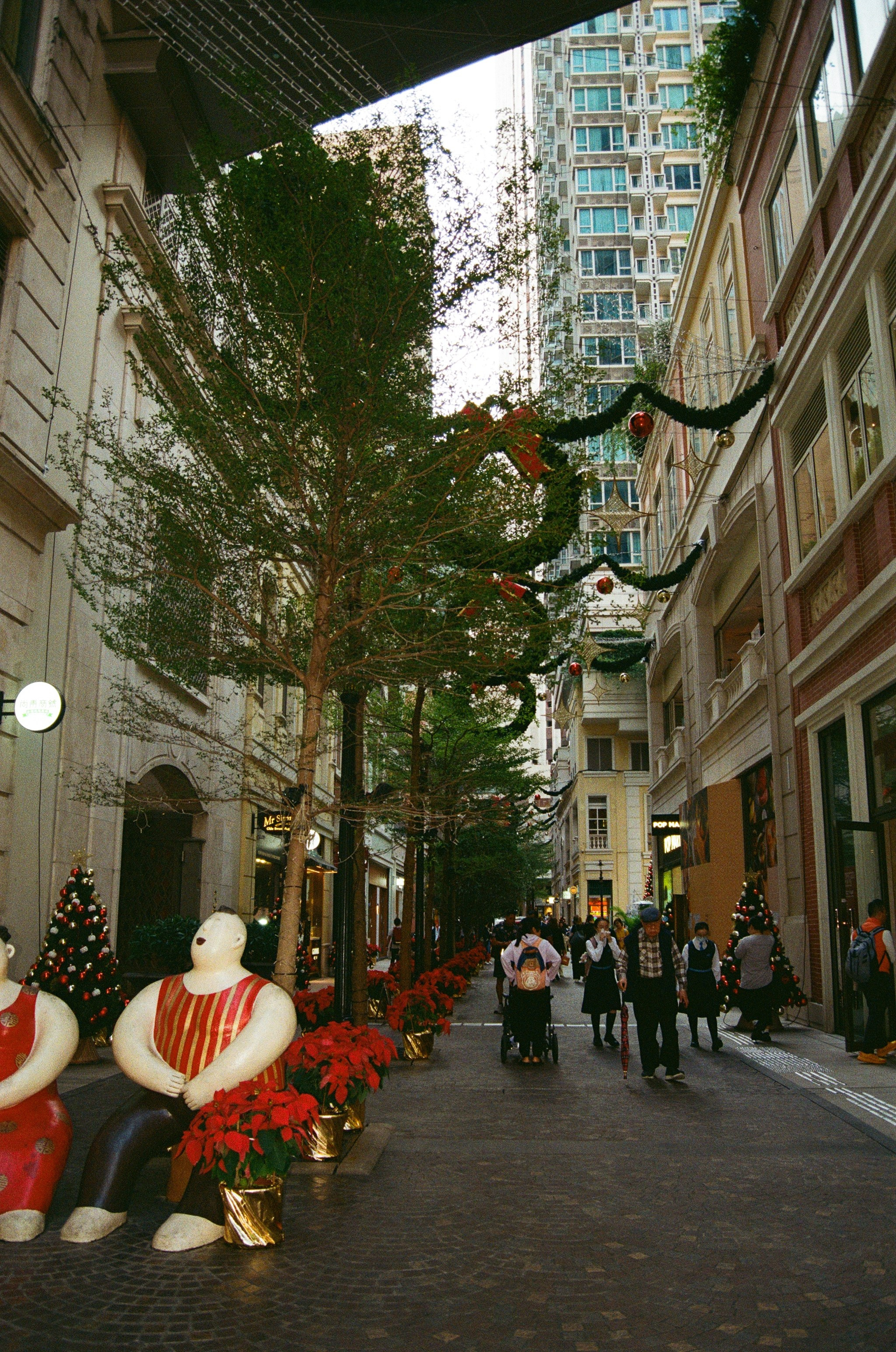 Гон Конг 2024. Репортажный и портретный фотограф Русакова Жанна