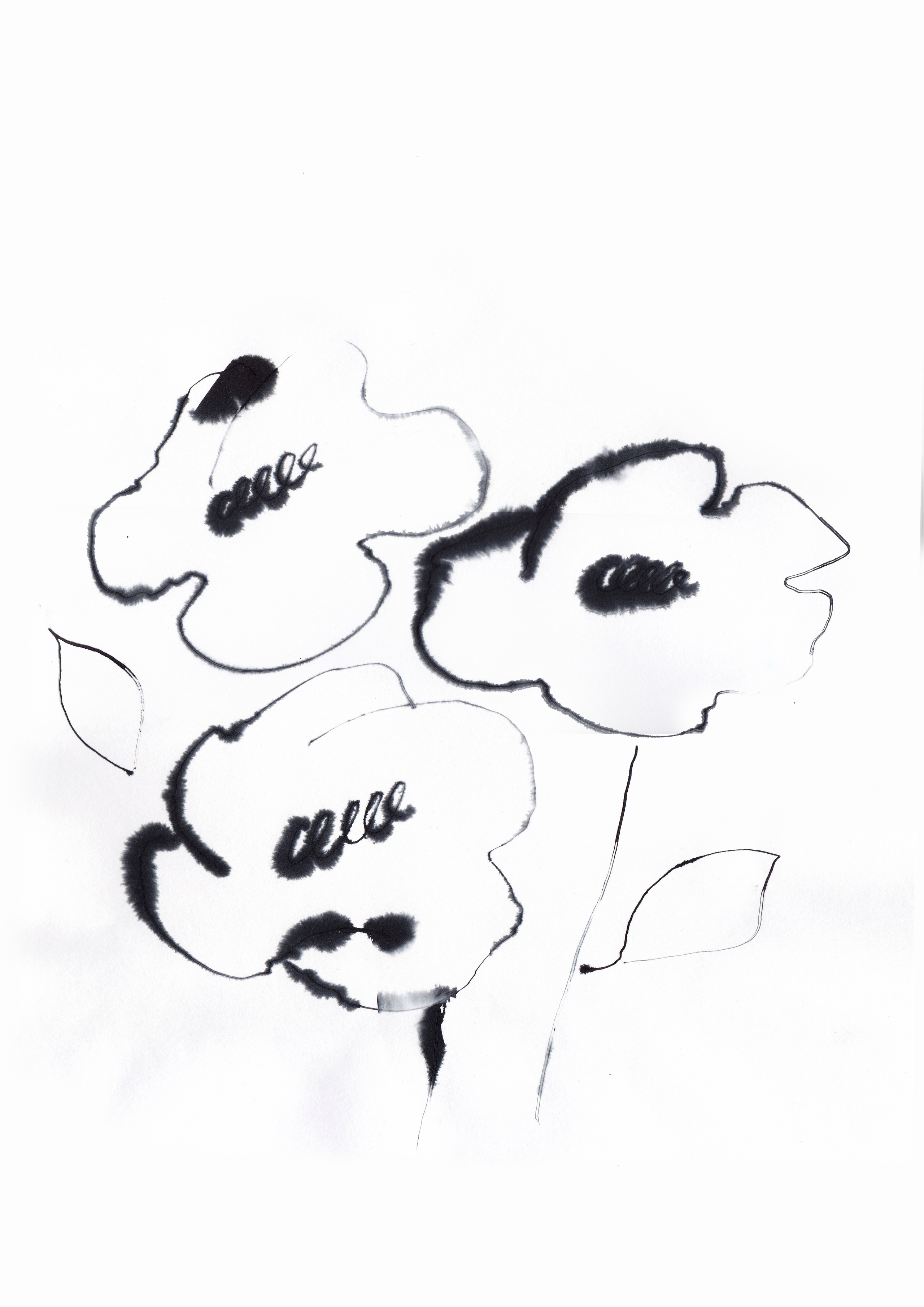 Ink Drawings. Portfolio Birdcrush