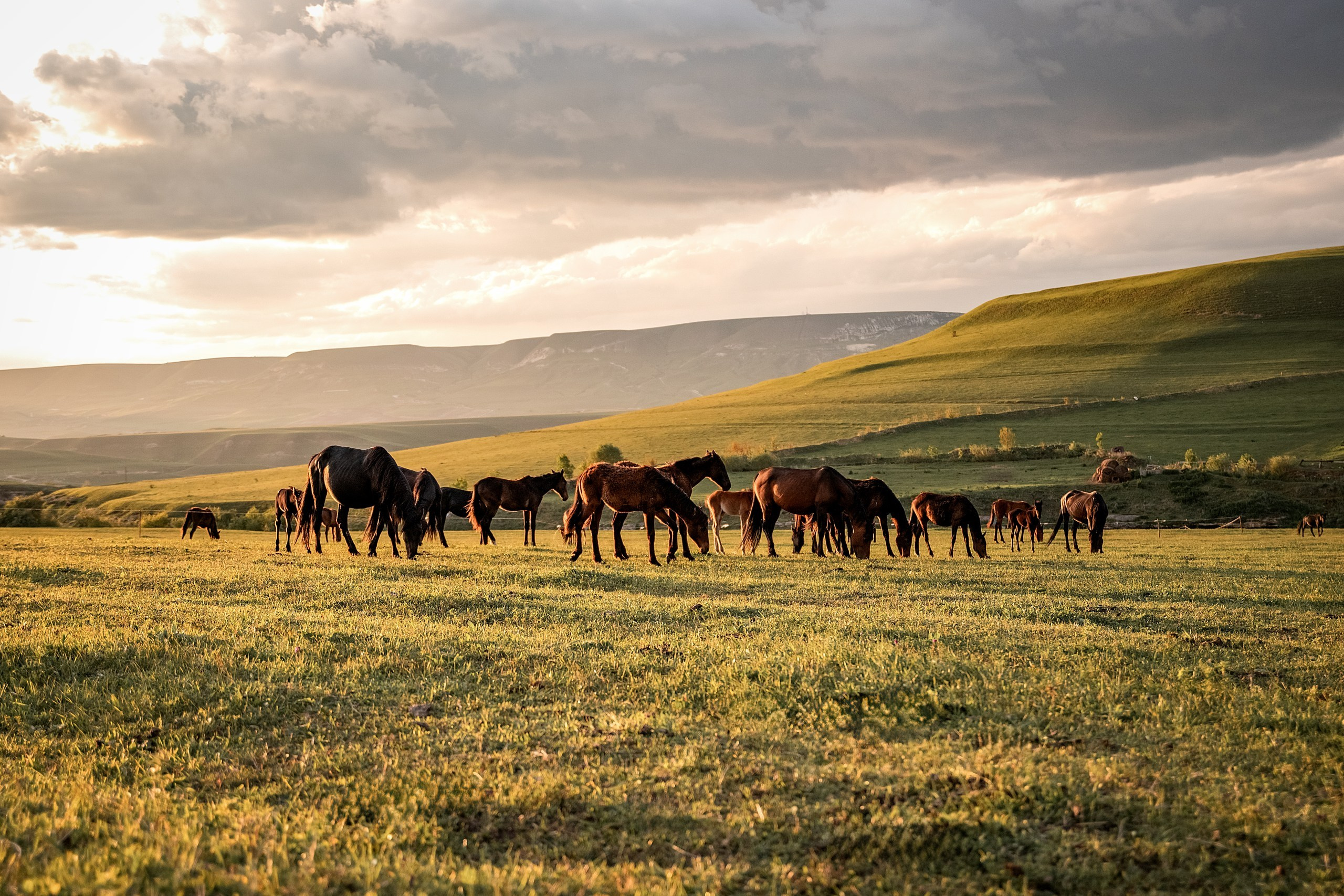Майское закатное. BrisArts