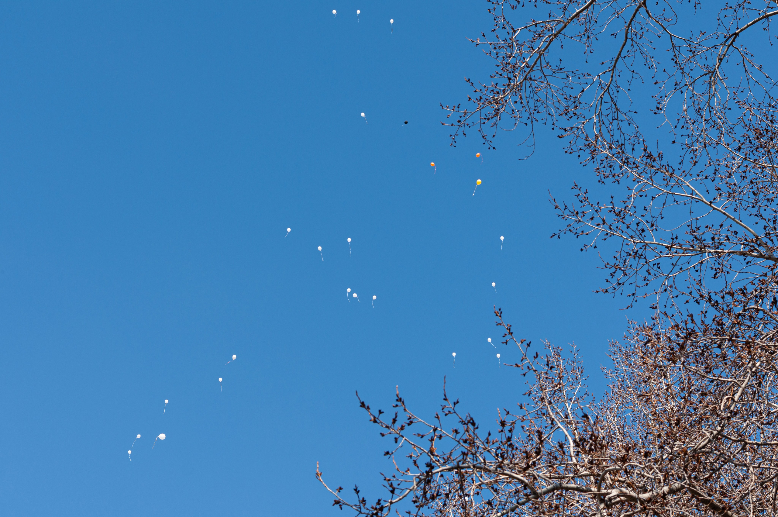 Праздники. Николай Пак