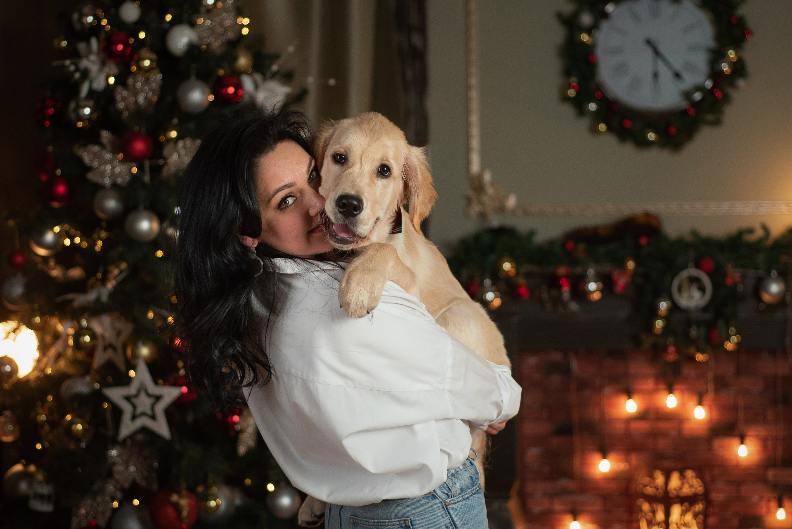 Света и Чарли. Новый год. Фотограф анималист в Казани Алина Сулейманова. Фотограф животных