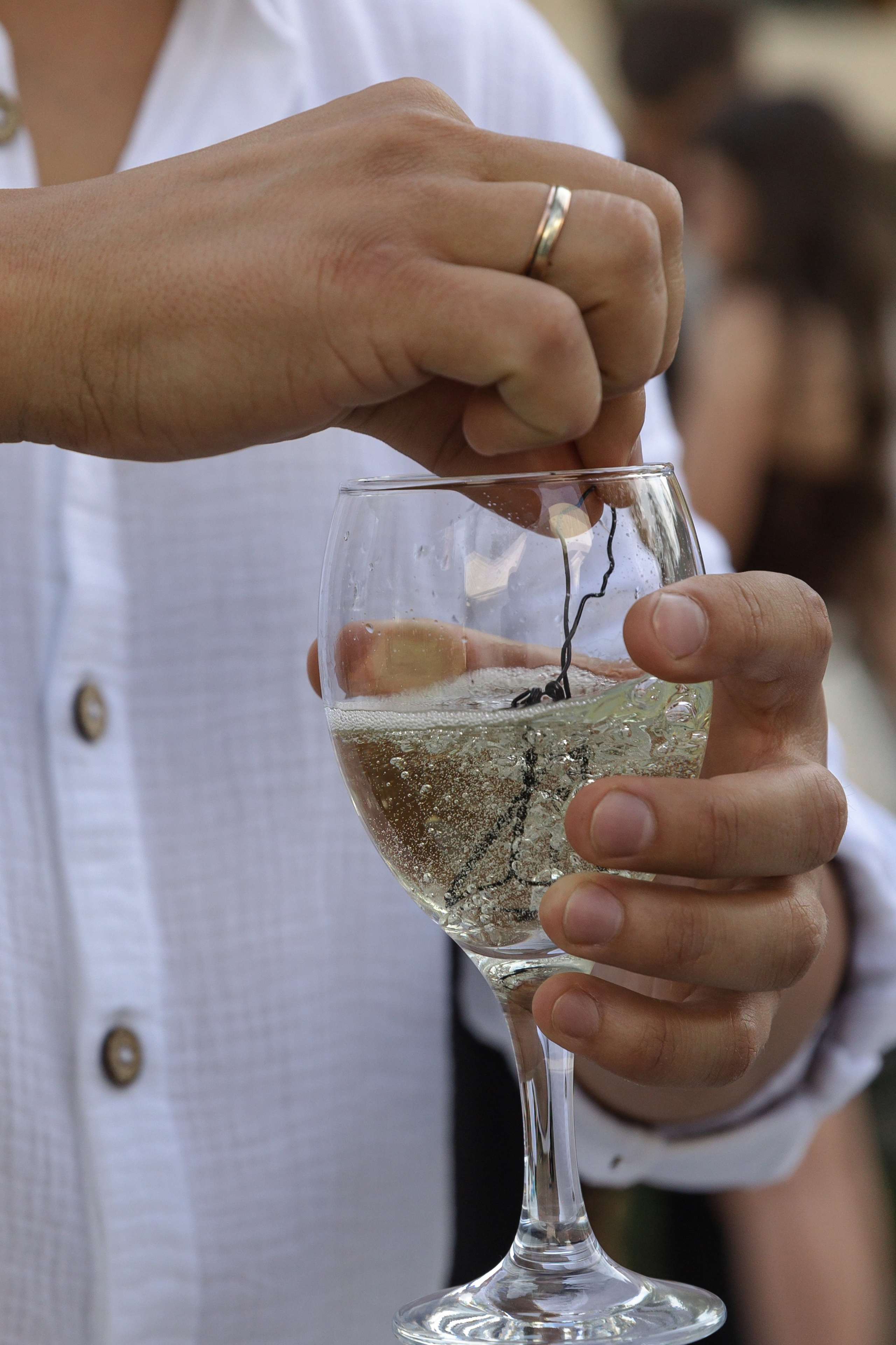 A & S. Свадебный фотограф в Красноярске Абраменко Настя