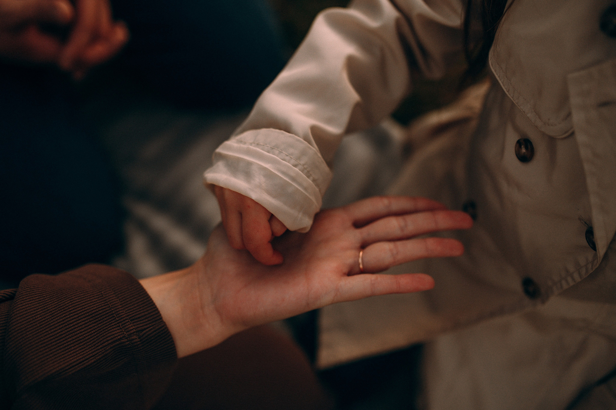 Лаки парк семейные осень. Фотограф в Болгарии. Фотограф в Созополе