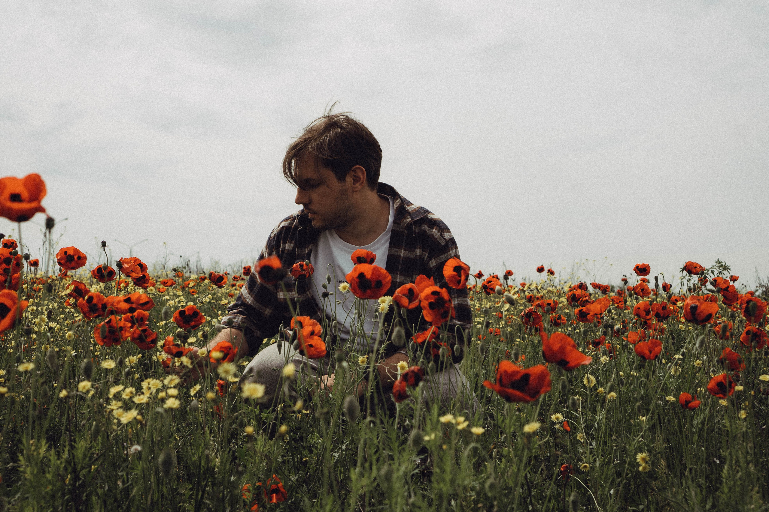 Маки. Профессиональный фотограф, Санкт-Петербург — Виктория Богомолова