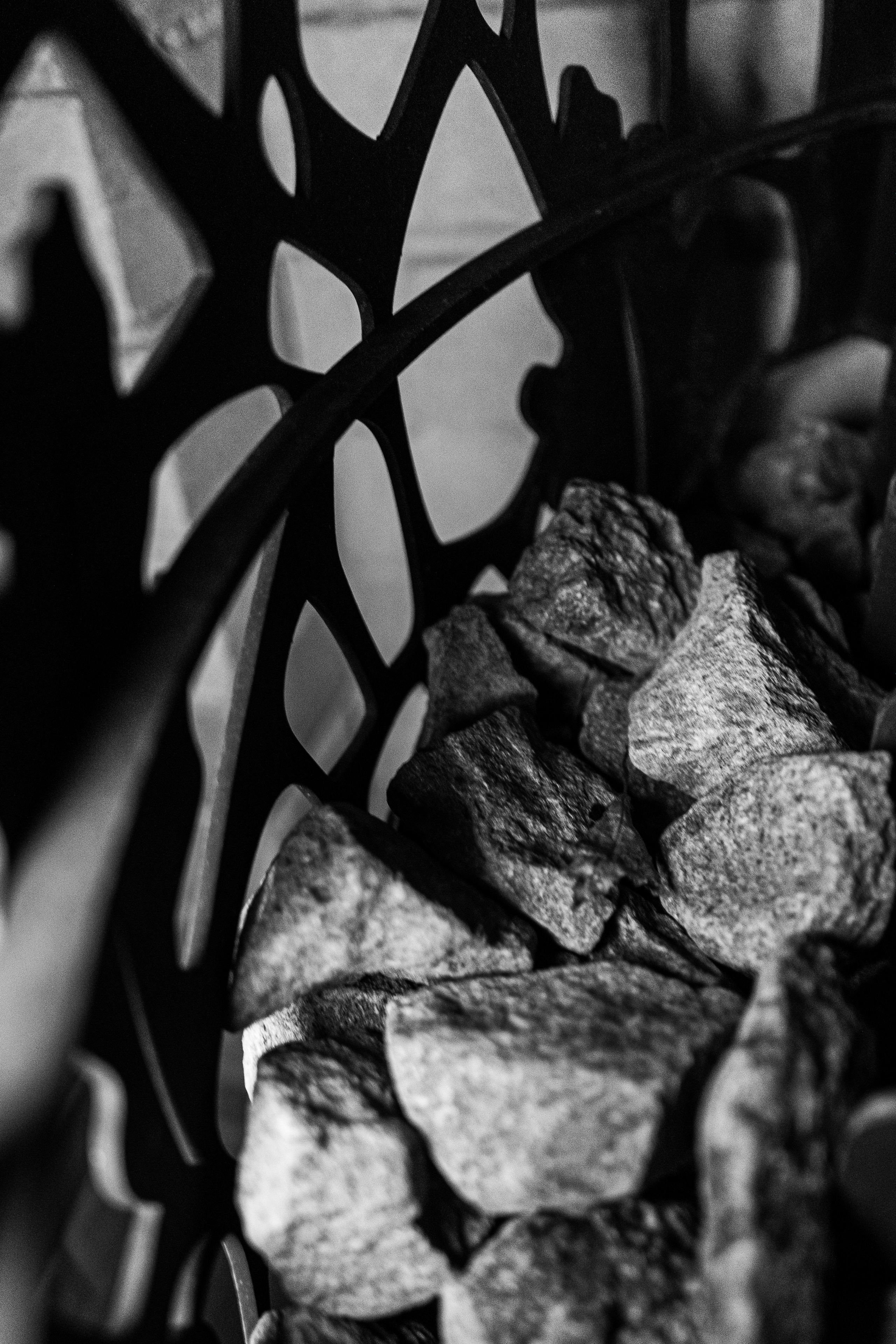 Home. Анастасия Паршукова — фотограф Шерегеш Новосибирск