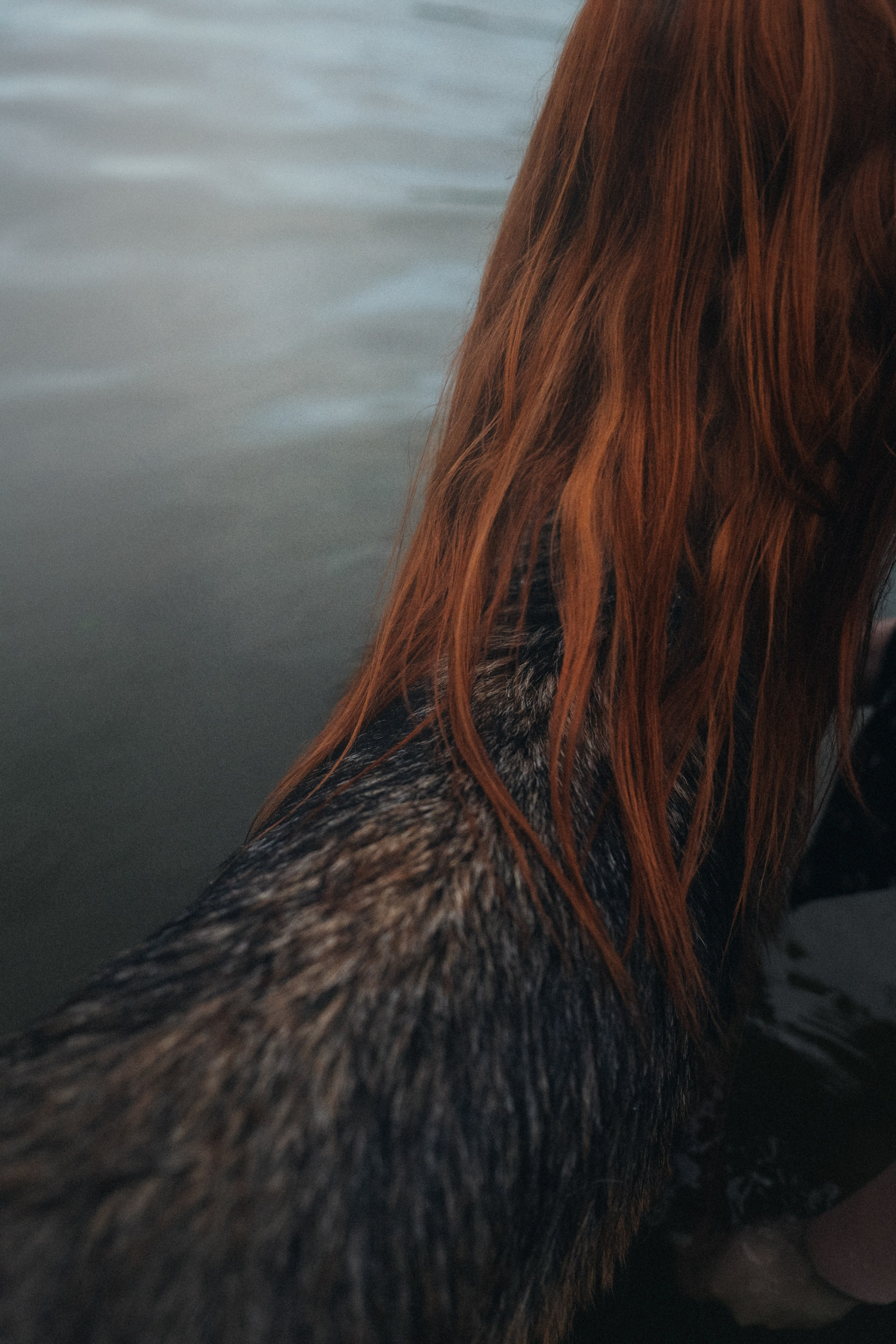 Вика и Фрея. Фотограф анималист в Москве и Санкт-Петербурге Свиридова Анна