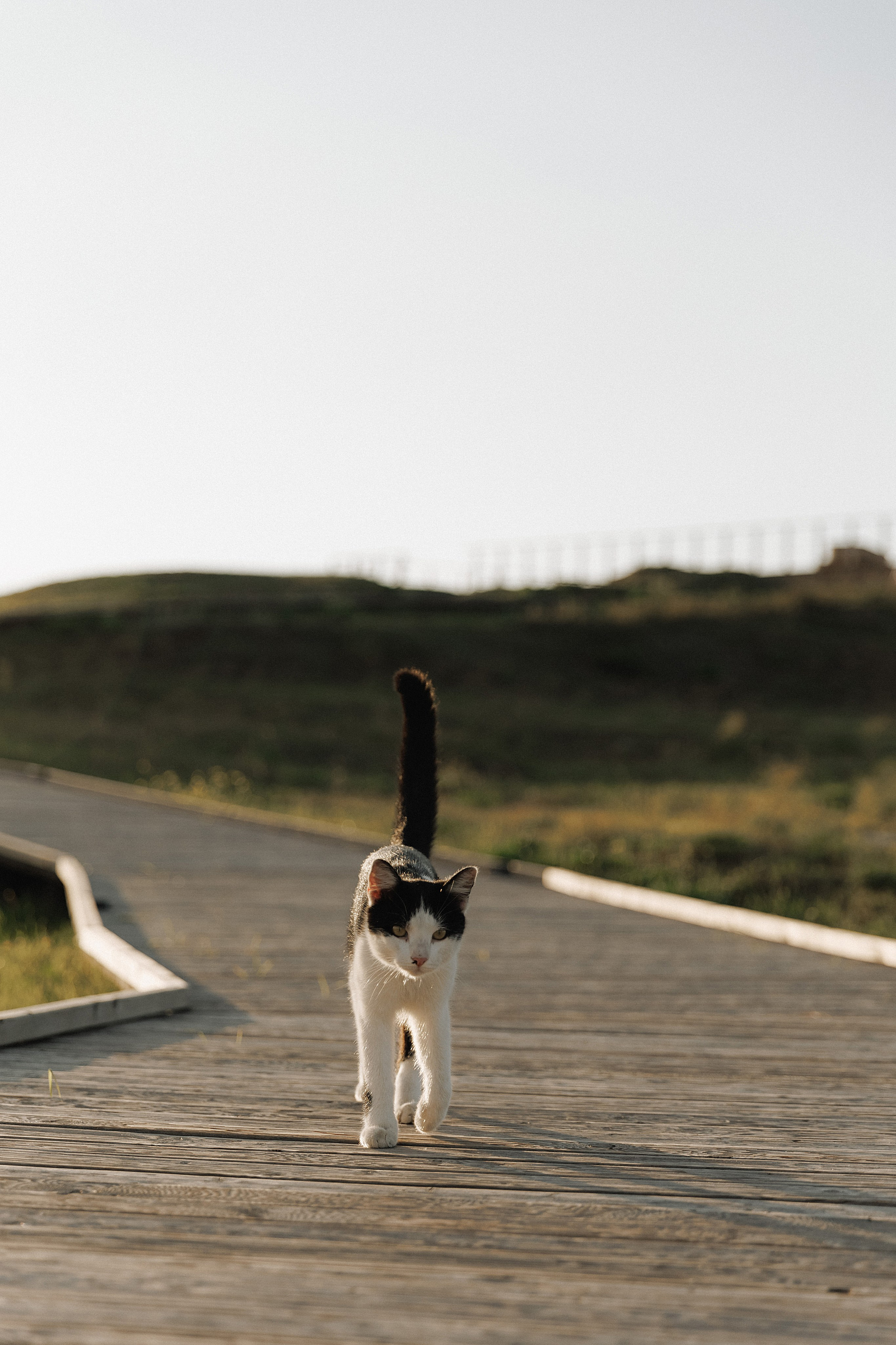 Karina & Maksim. Свадебный фотограф в Севастополе и Крыму| Tanya Sher