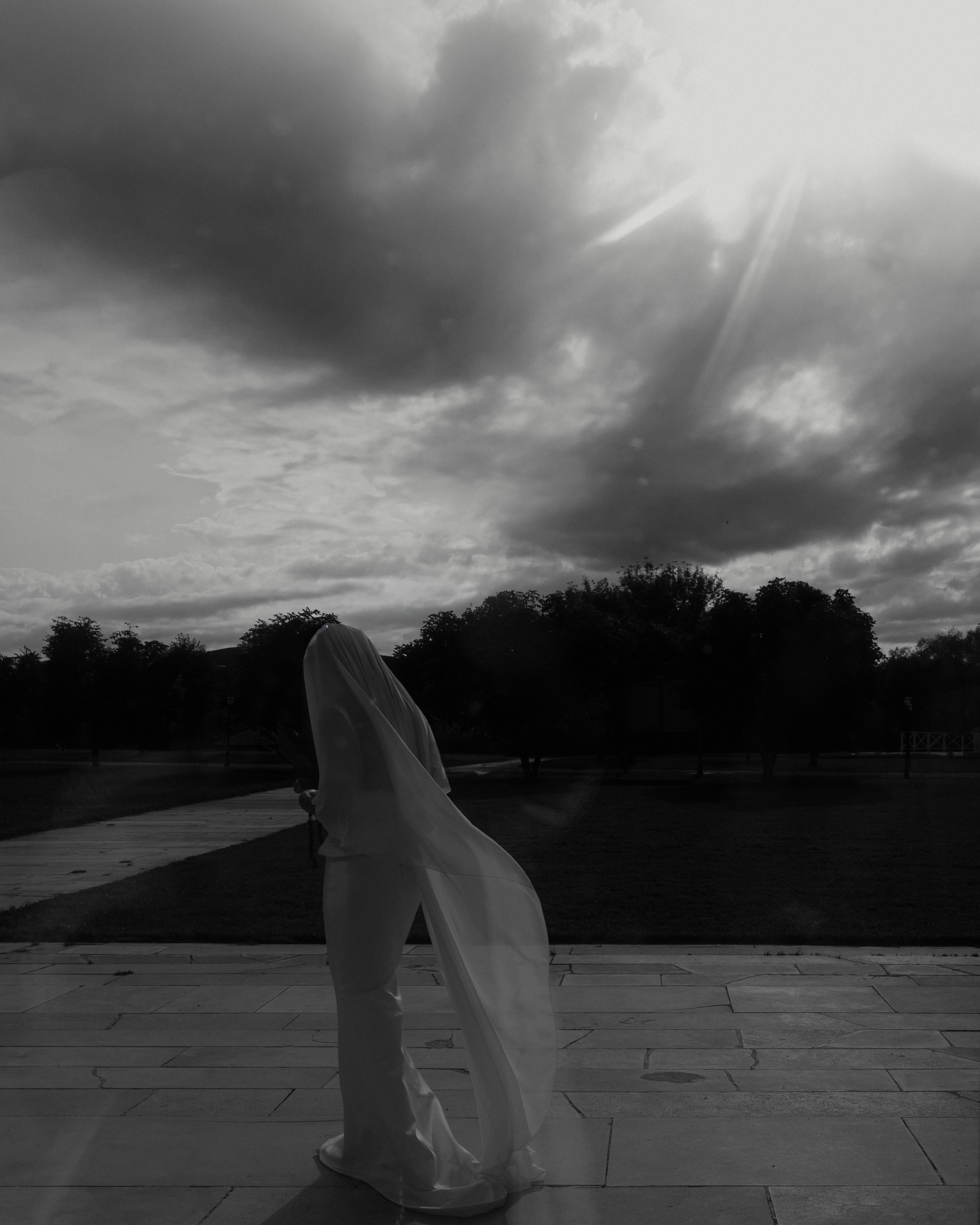 Лебеди. Свадебный фотограф Воронеж Москва СПБ