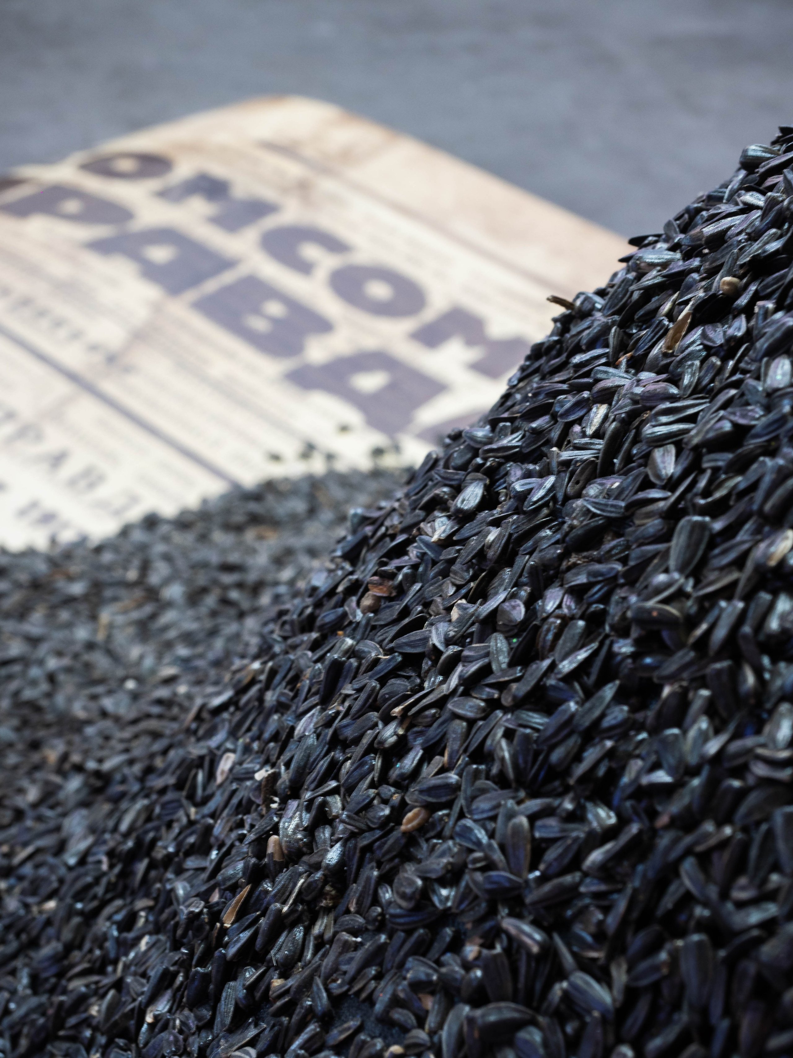 Pro Media Tech. Портретный и Репортажный фотограф в Москве