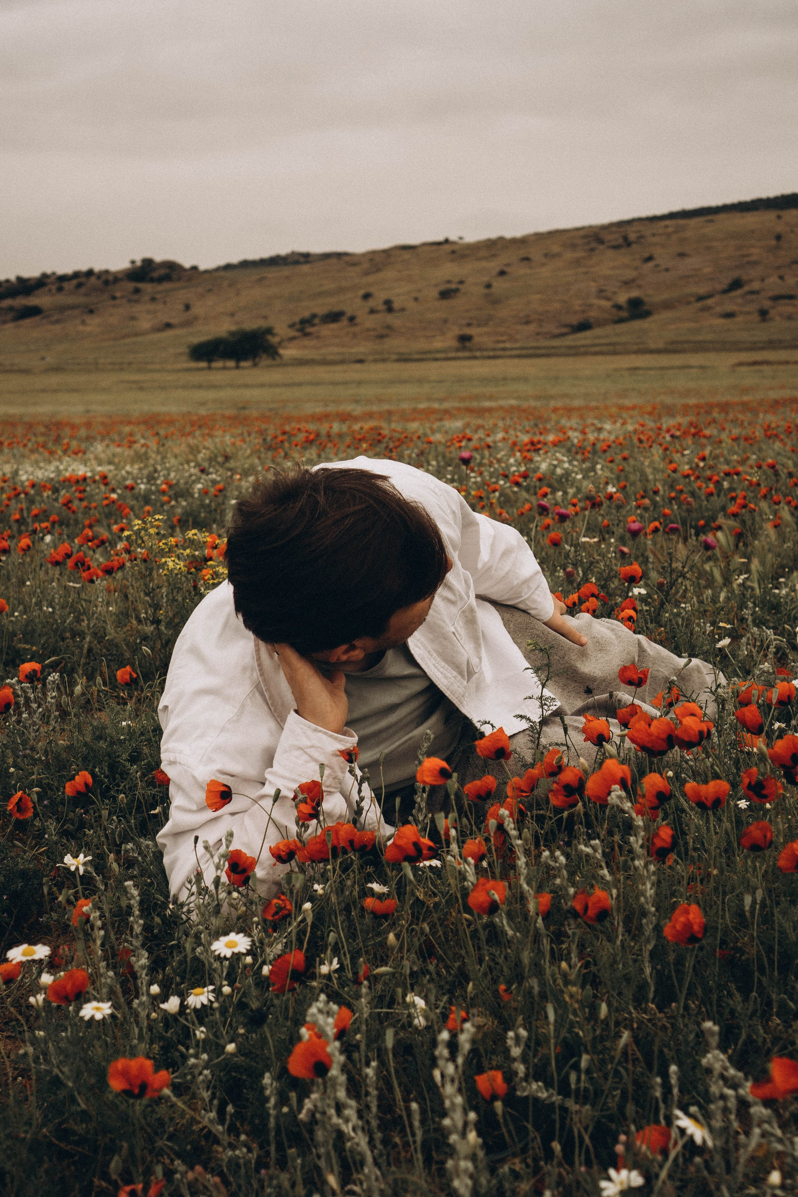 Маки. Профессиональный фотограф, Санкт-Петербург — Виктория Богомолова