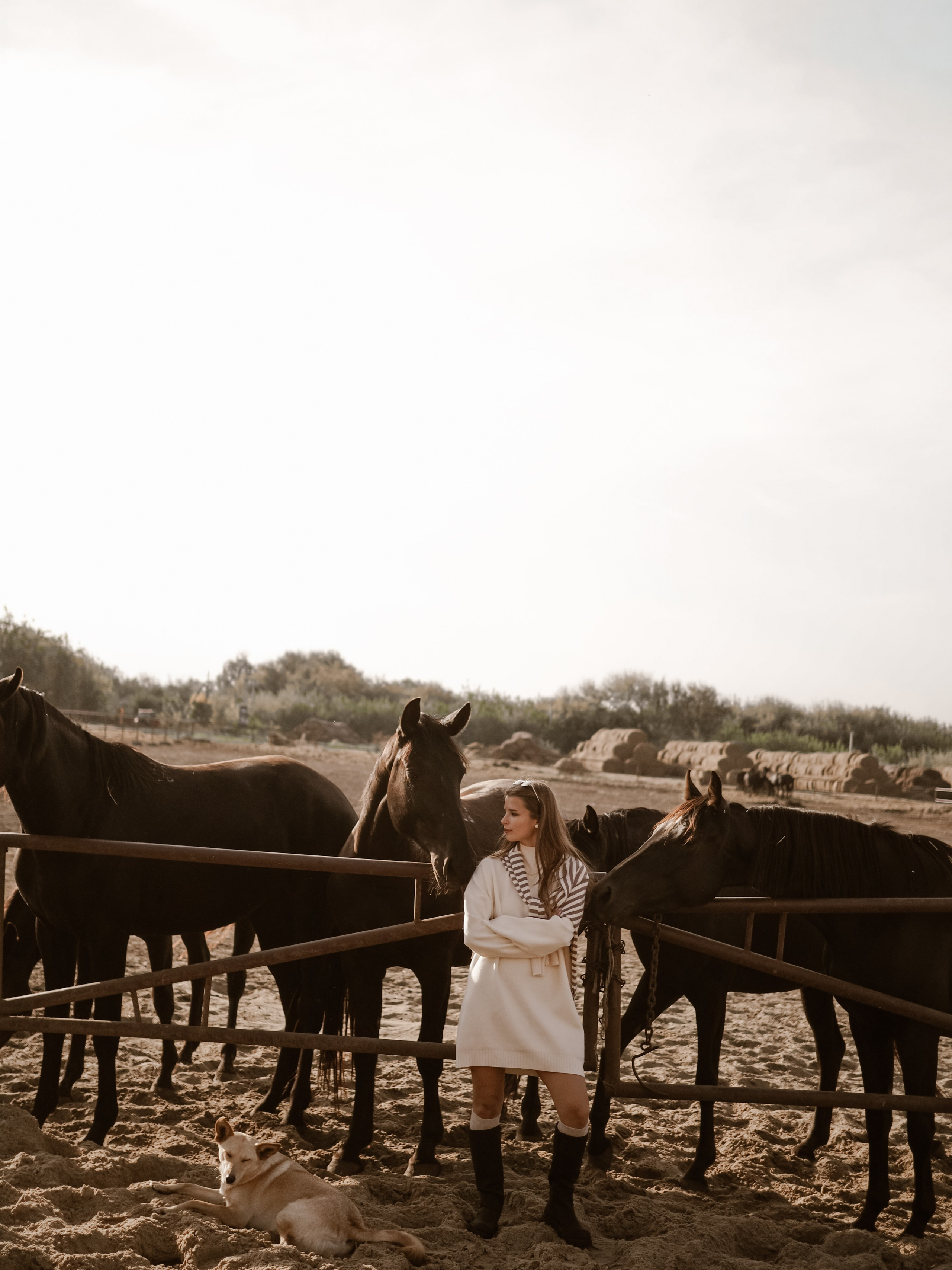 Фотопроект с лошадьми. Фотограф Рязань. Семейный Свадебный фотограф