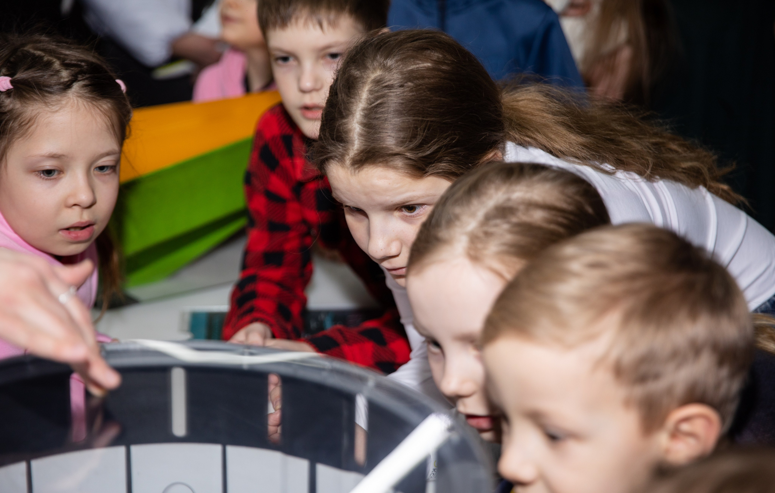 Экспрементус -Новые люди 2026. Репортажный и свадебный фотограф в Челябинске Елисеев Павел