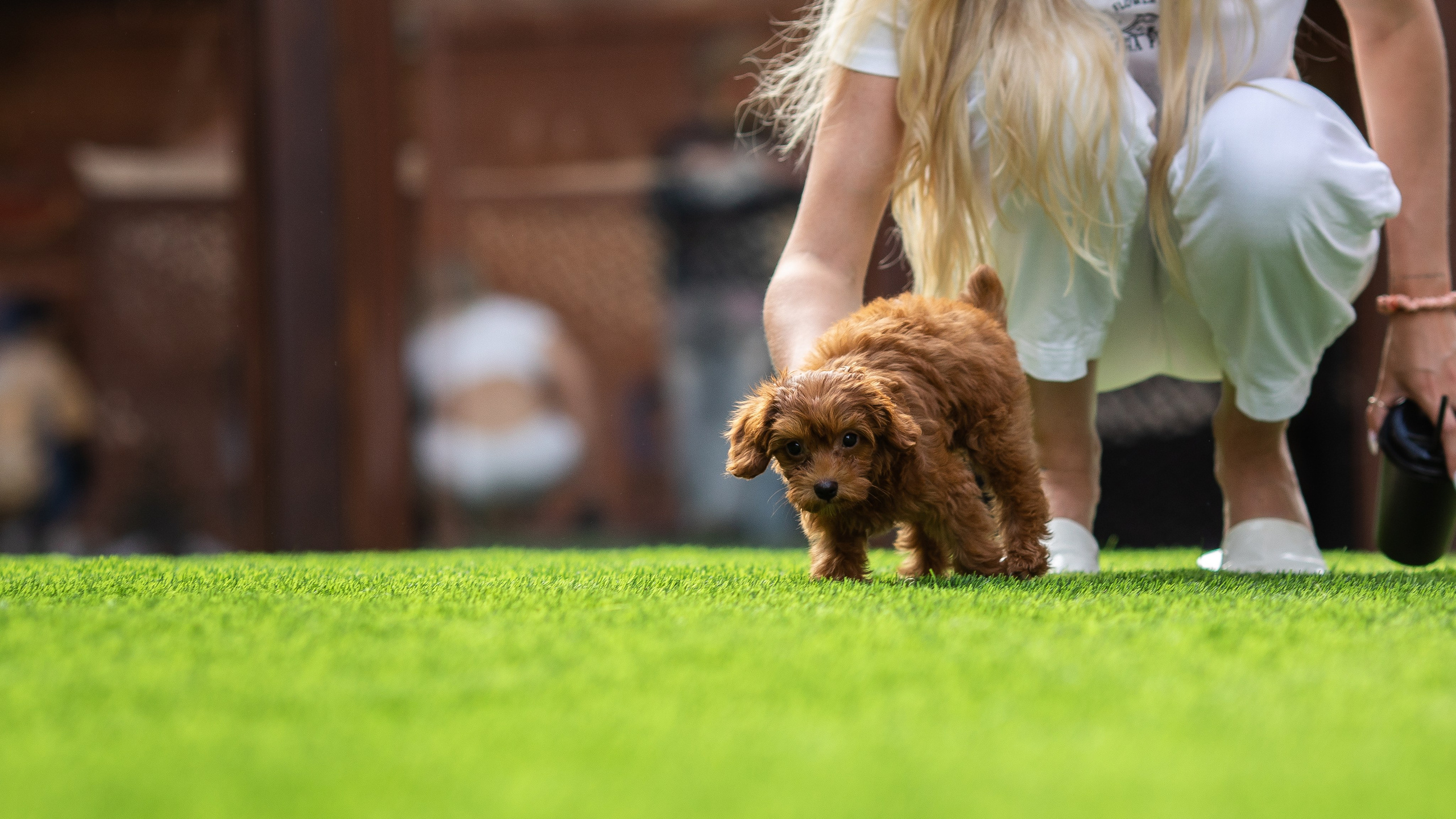 День Рождения Егорки -2025. VoronEvent. Репортажный и свадебный фотограф в Челябинске Елисеев Павел