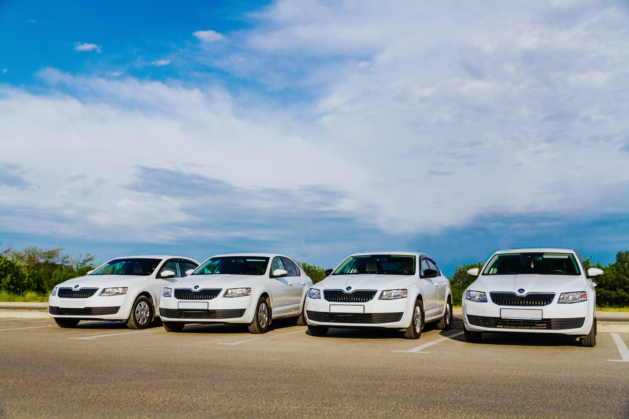 Компания Честный трансфер — автоперевозчик по Крыму. Фотограф Антон Катунин | Симферополь