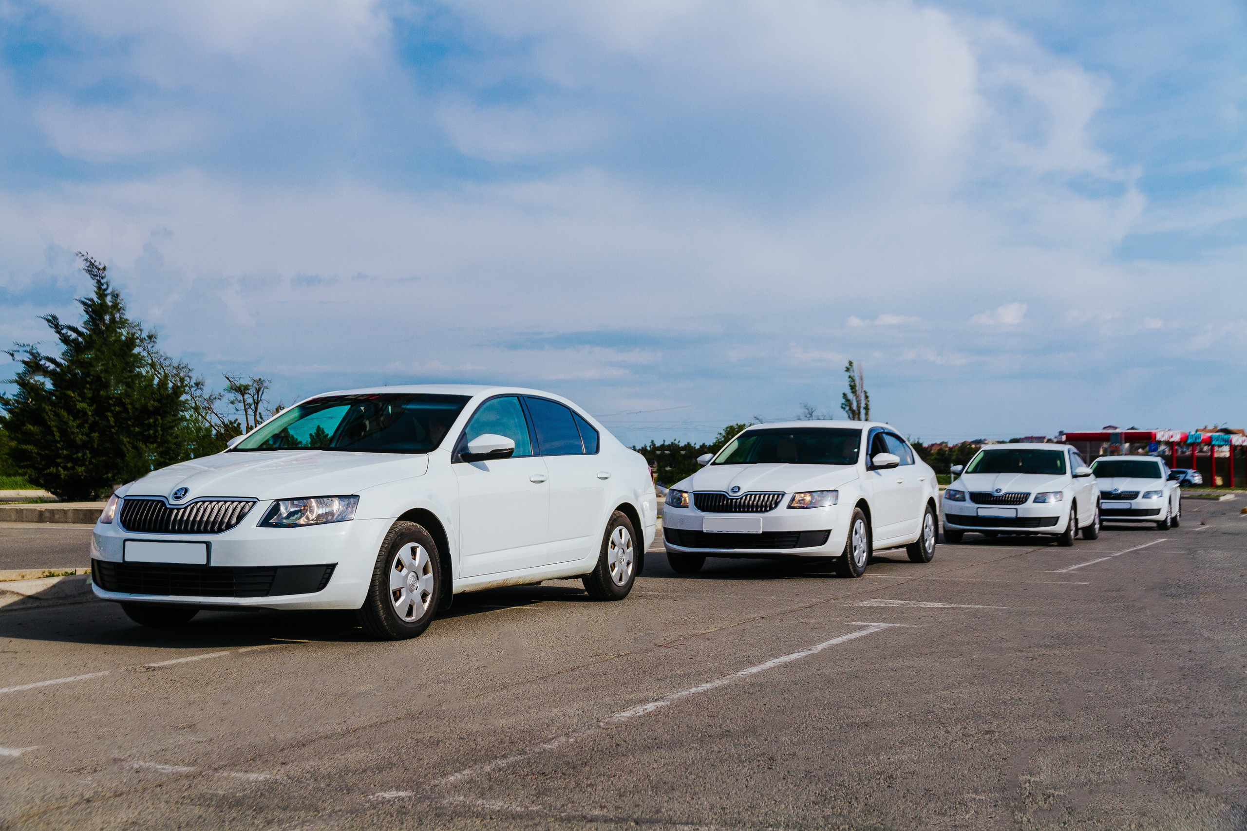 Компания Честный трансфер — автоперевозчик по Крыму. Фотограф Антон Катунин | Симферополь