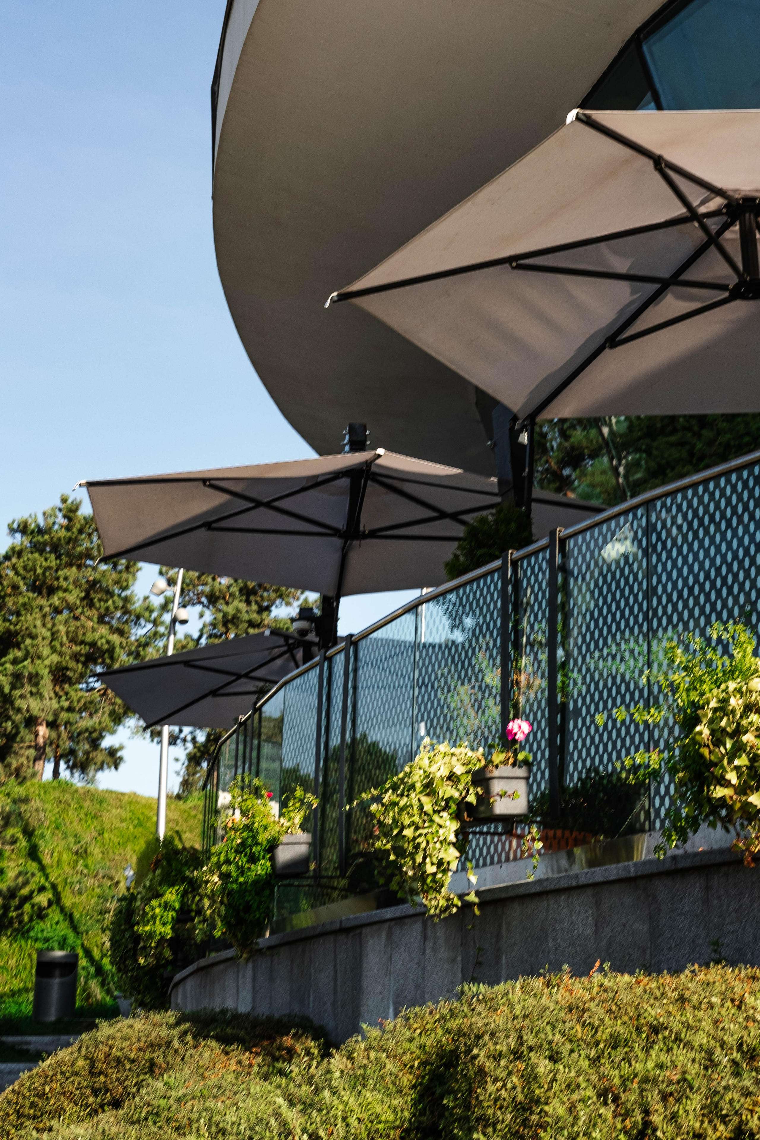 Москва 2024. Свадебный и семейный фотограф в Новосибирске, Санкт-Петербурге, Москве