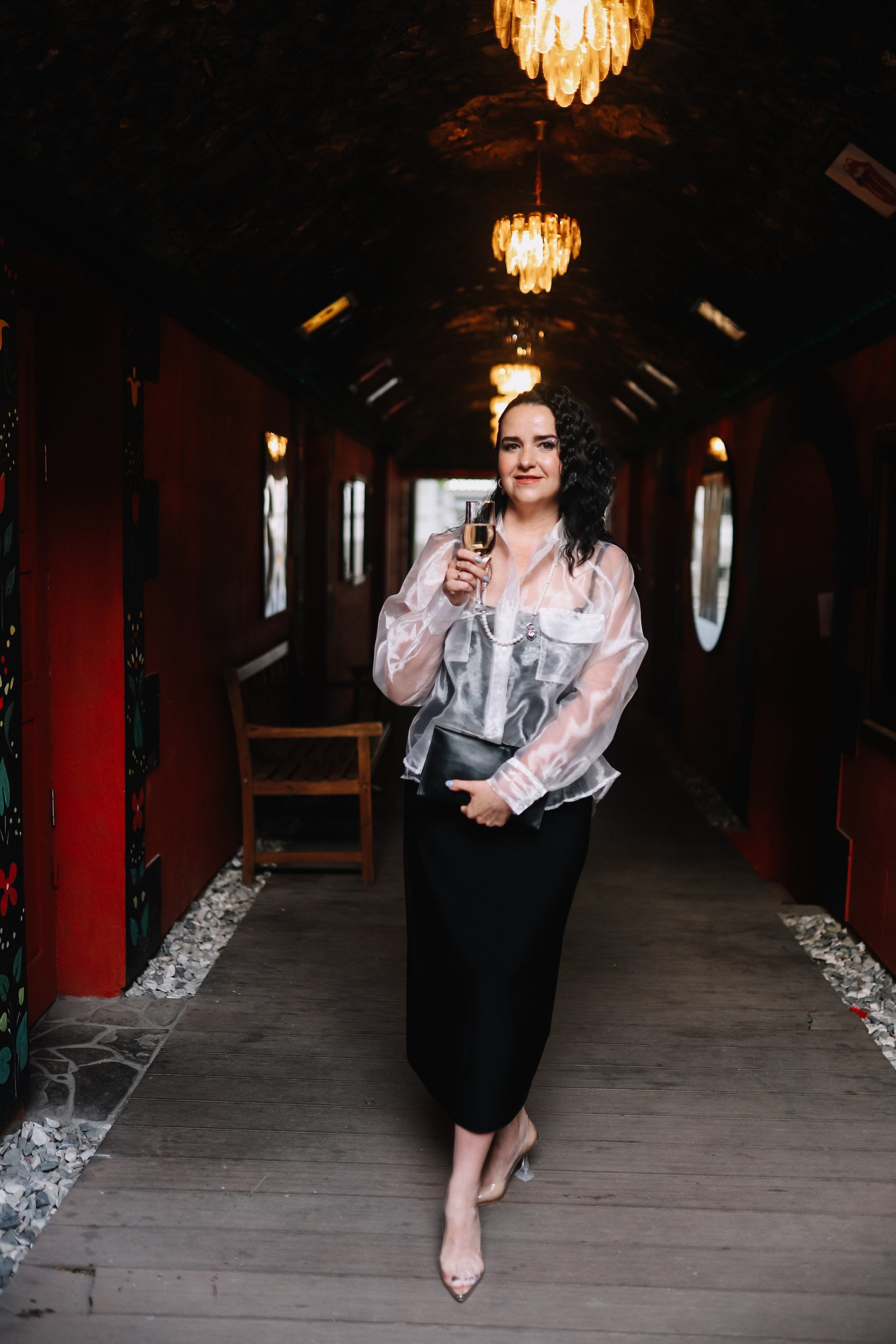 25.Диана и гости