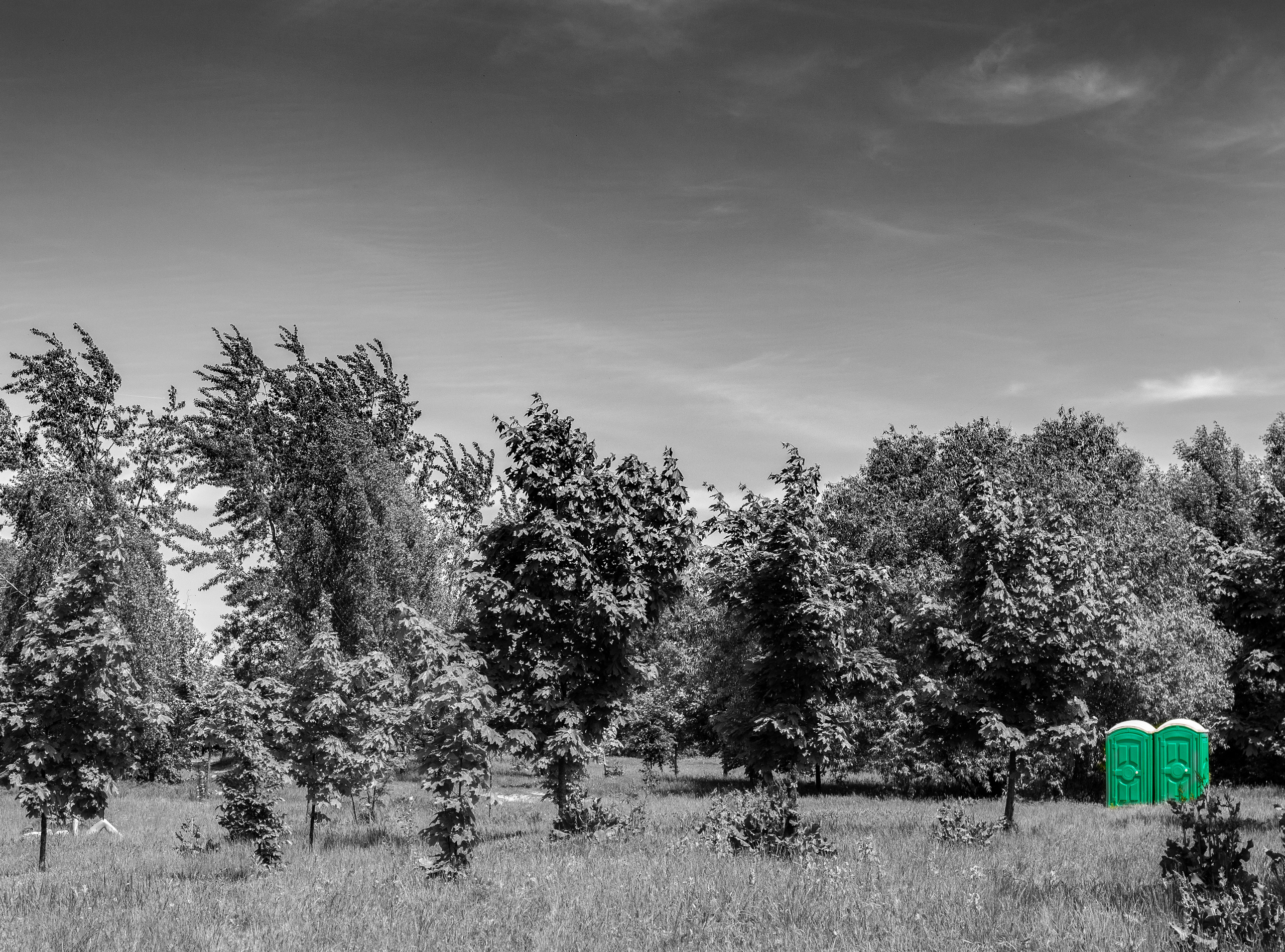 ЧБ  пейзажи (BnW landscape). Фотограф (photographer) Lischinski Vitaliy