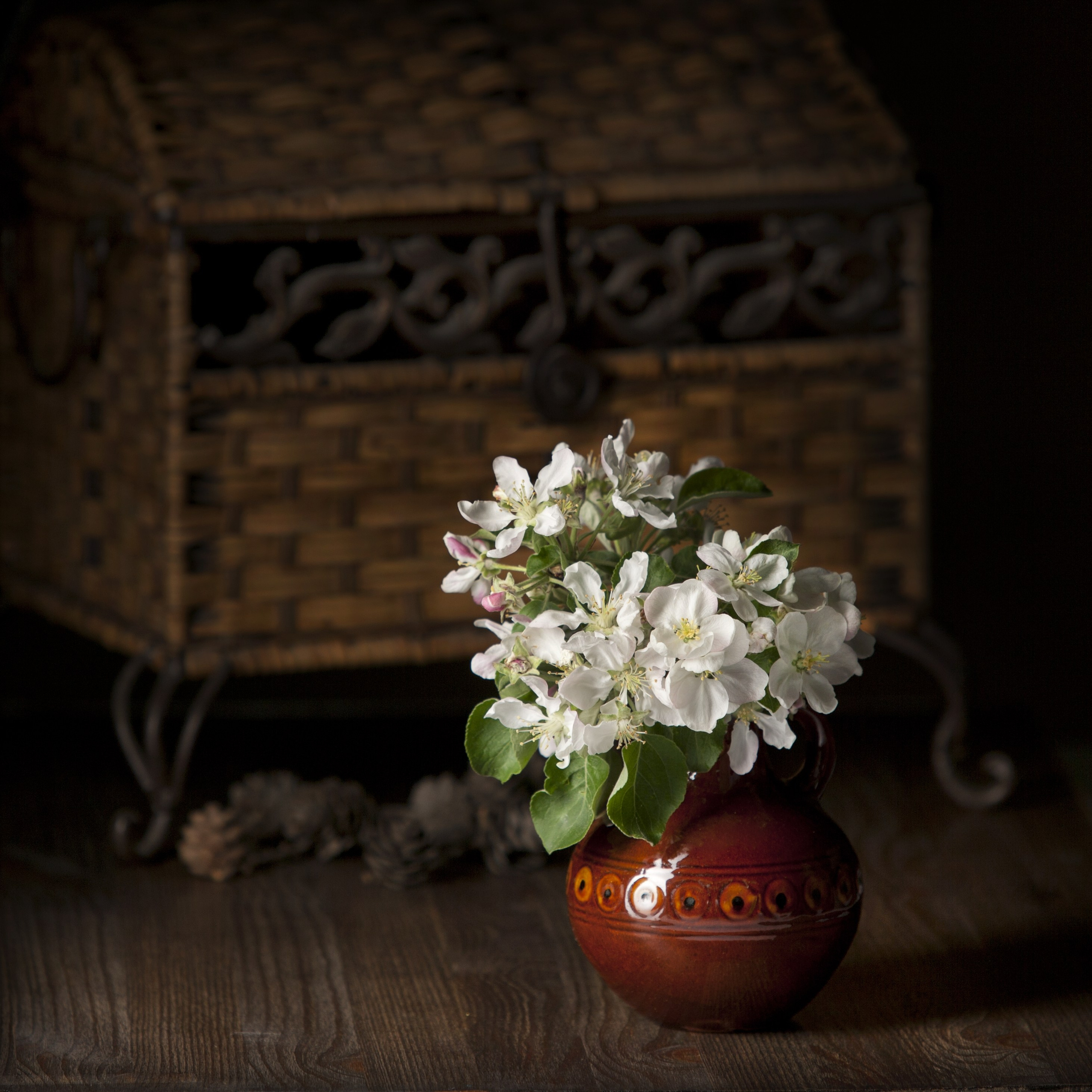 Цветы. Фотограф Мария Кольцова