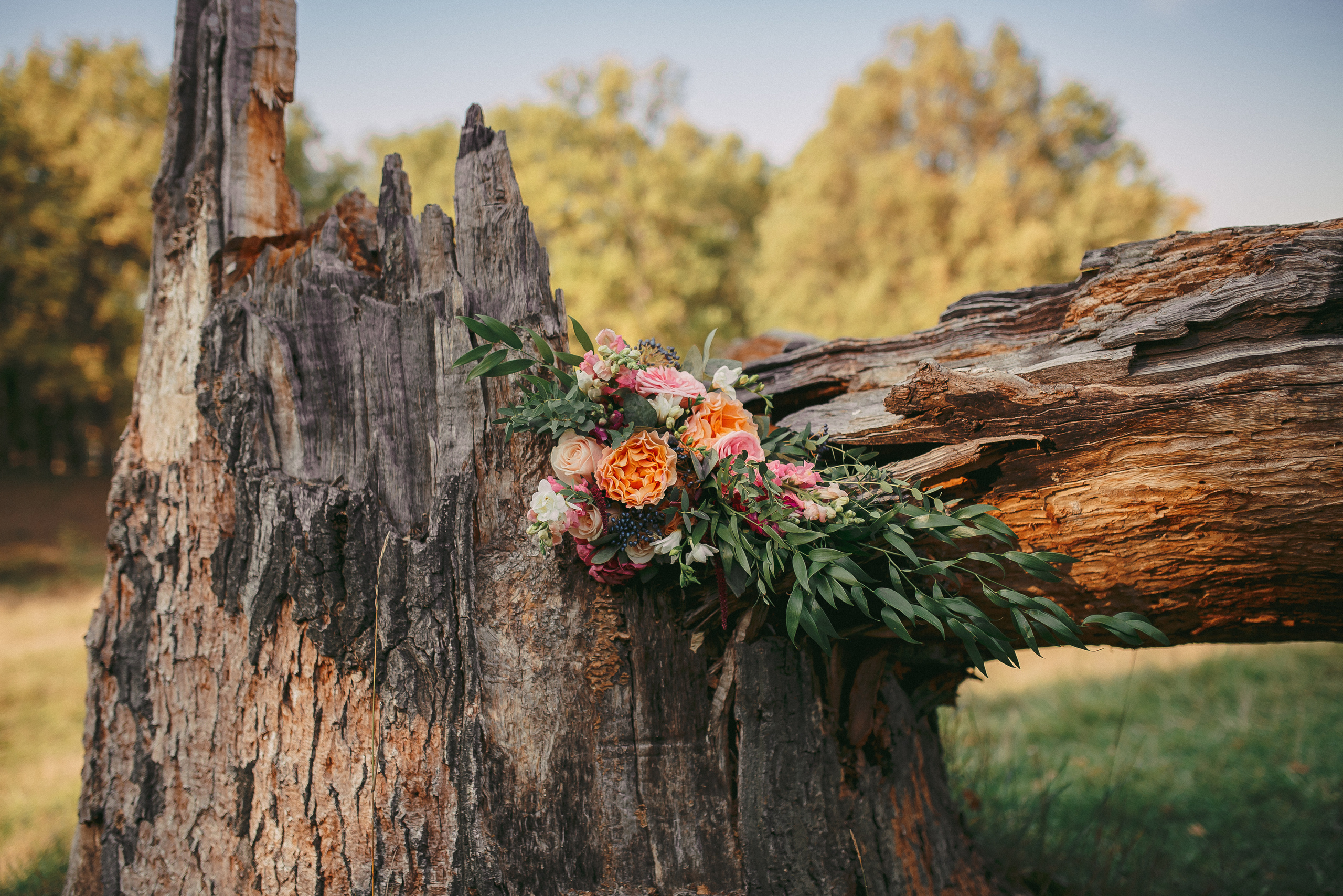 Марат и Оля 13 сентября 2019. Свадебный, семейный фотограф в Дзержинске, Нижнем Новгороде Наталья Хр