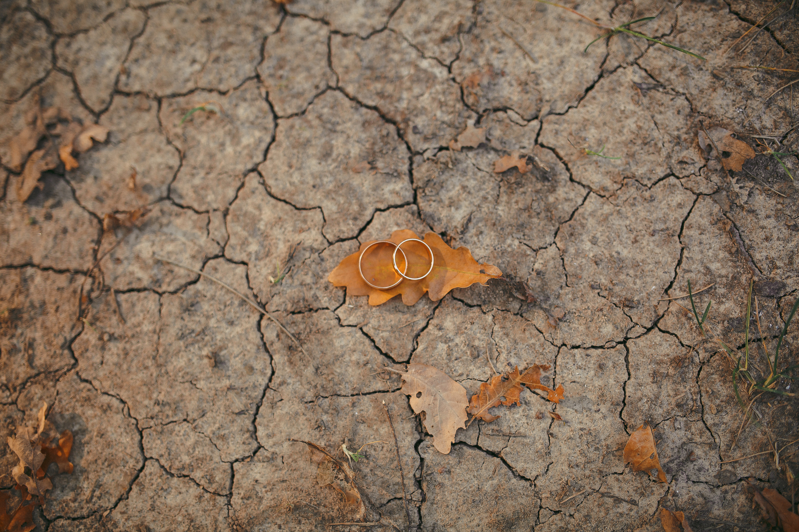 Марат и Оля 13 сентября 2019. Свадебный, семейный фотограф в Дзержинске, Нижнем Новгороде Наталья Хр