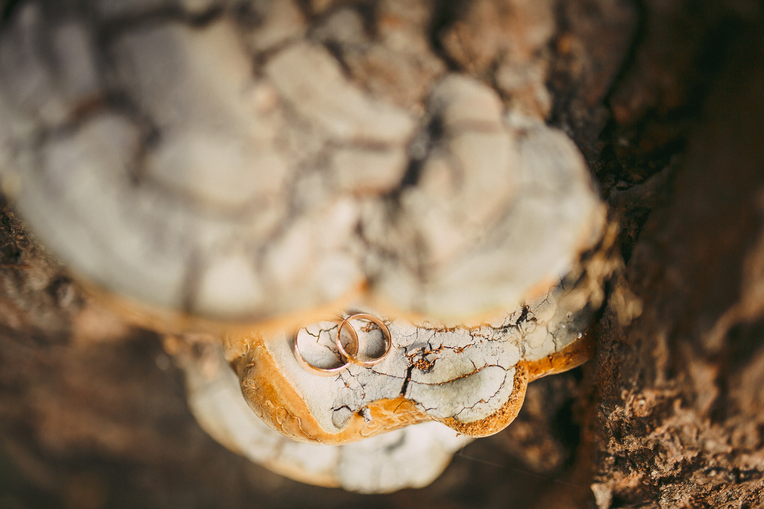 Марат и Оля 13 сентября 2019. Свадебный, семейный фотограф в Дзержинске, Нижнем Новгороде Наталья Хр