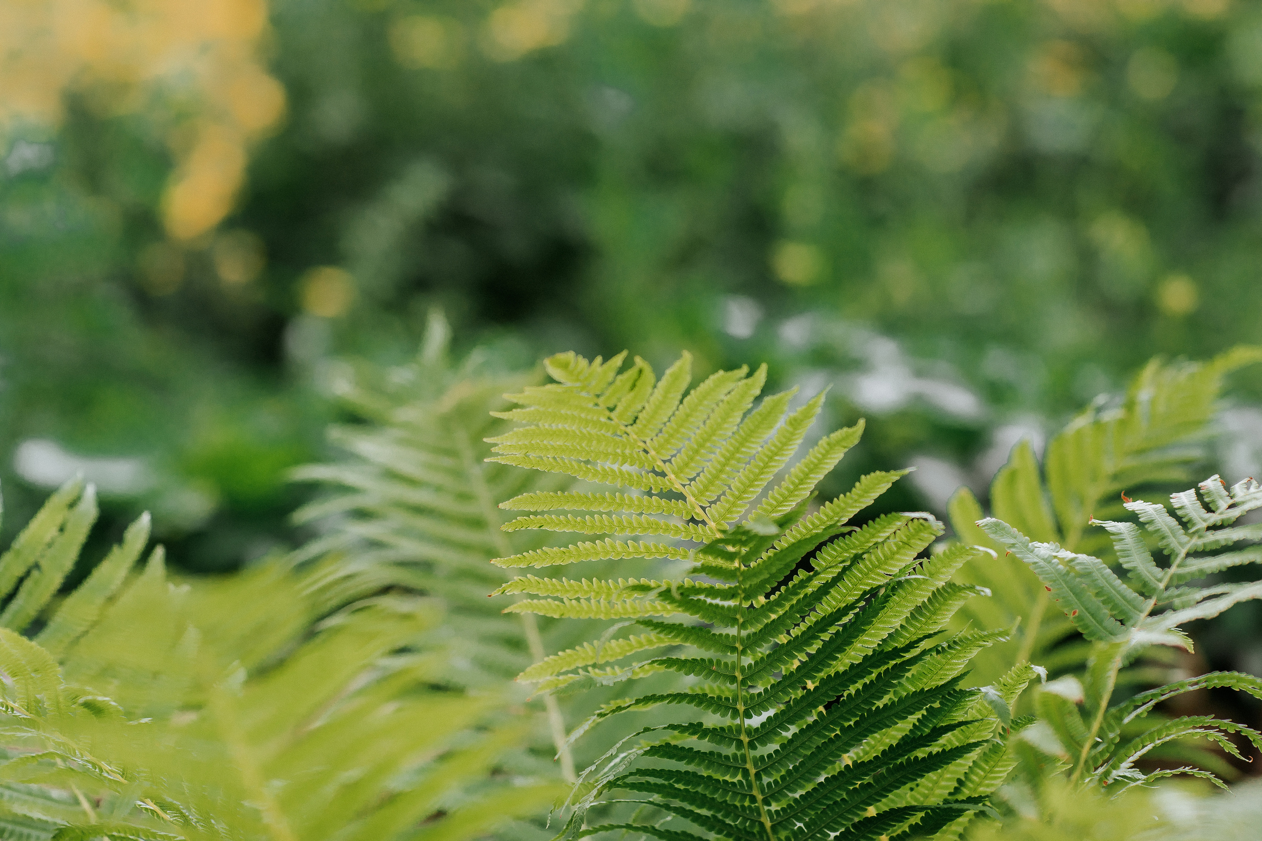 Оля+ Коля 19 июля 2019. Свадебный, семейный фотограф в Дзержинске, Нижнем Новгороде Наталья Хр