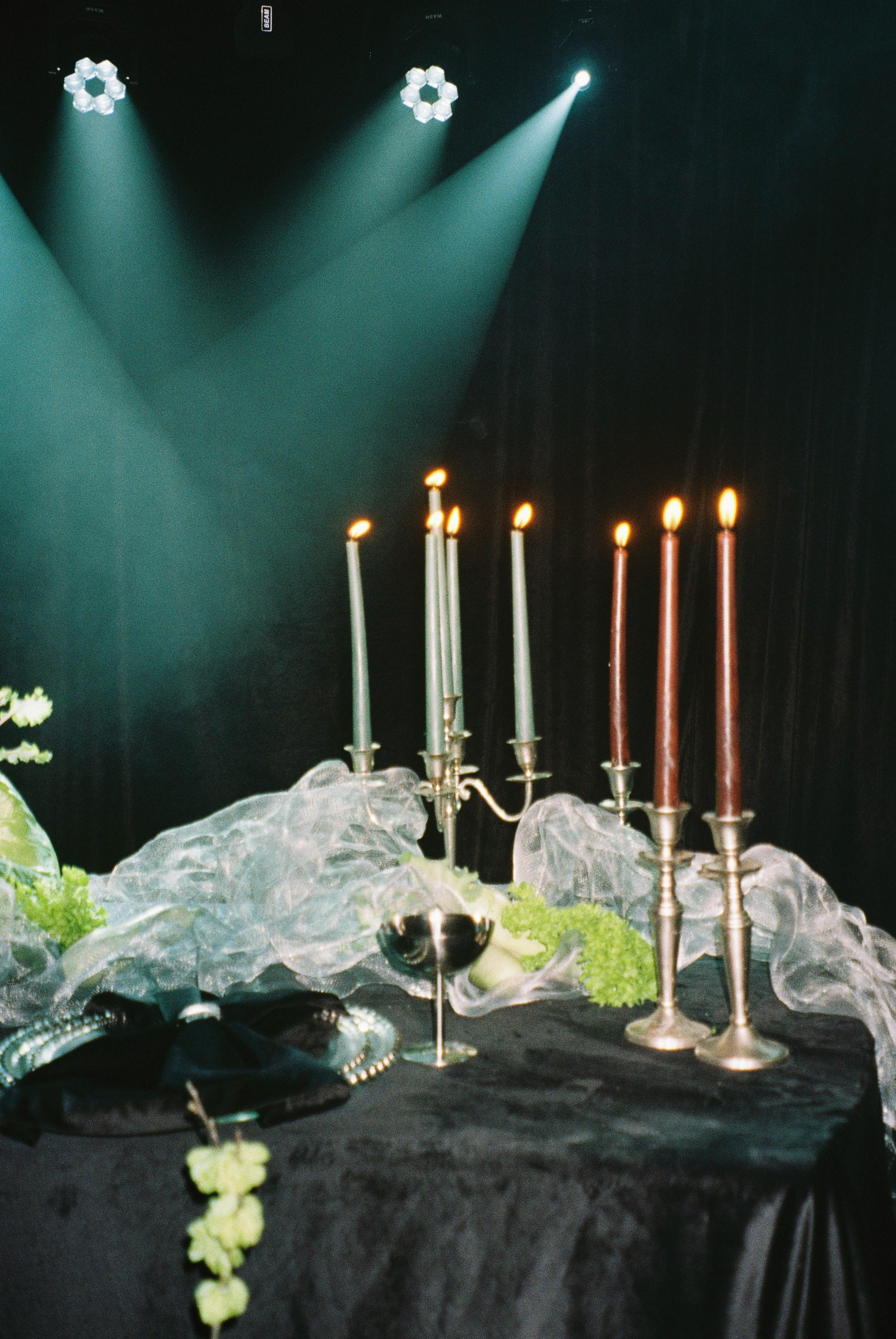 Плёнка. Свадебный фотограф в Краснодаре и Сочи Винидиктова Екатерина