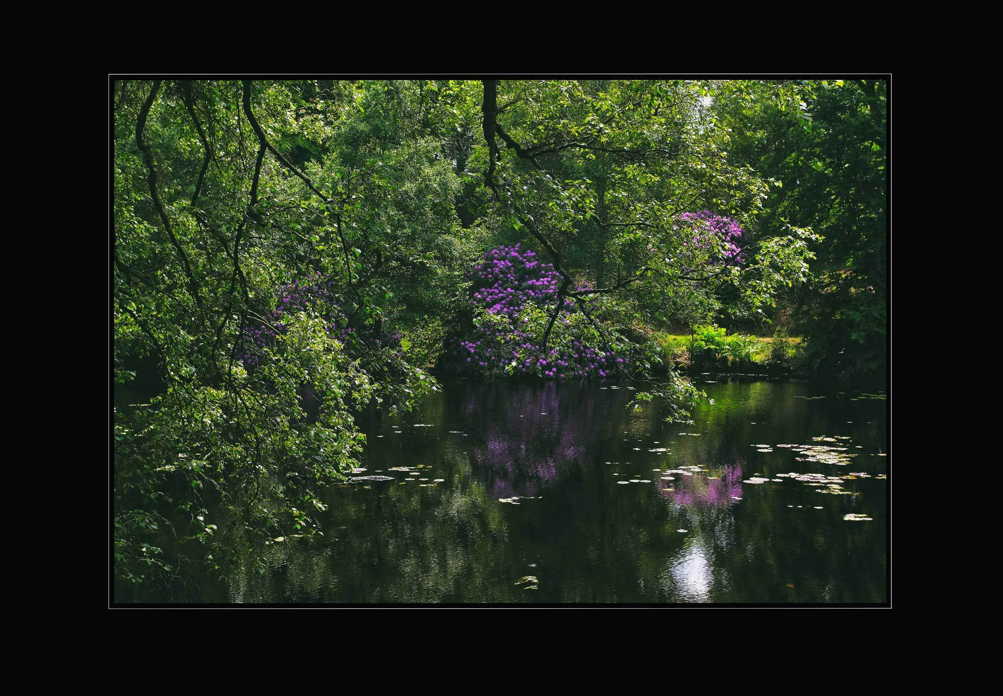 фотосъемка на свадьбе в Бретани
