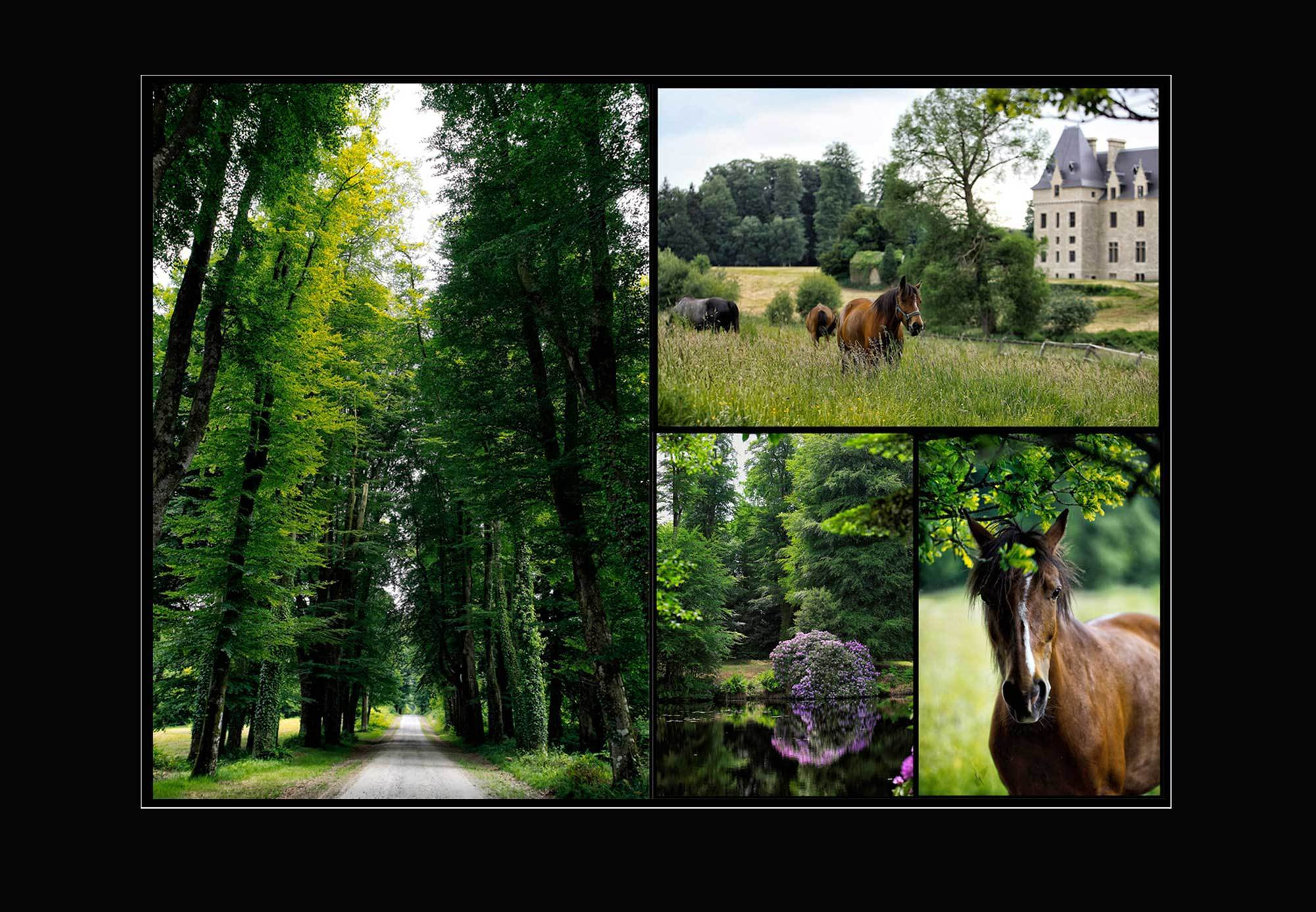 свадьба в начале лета