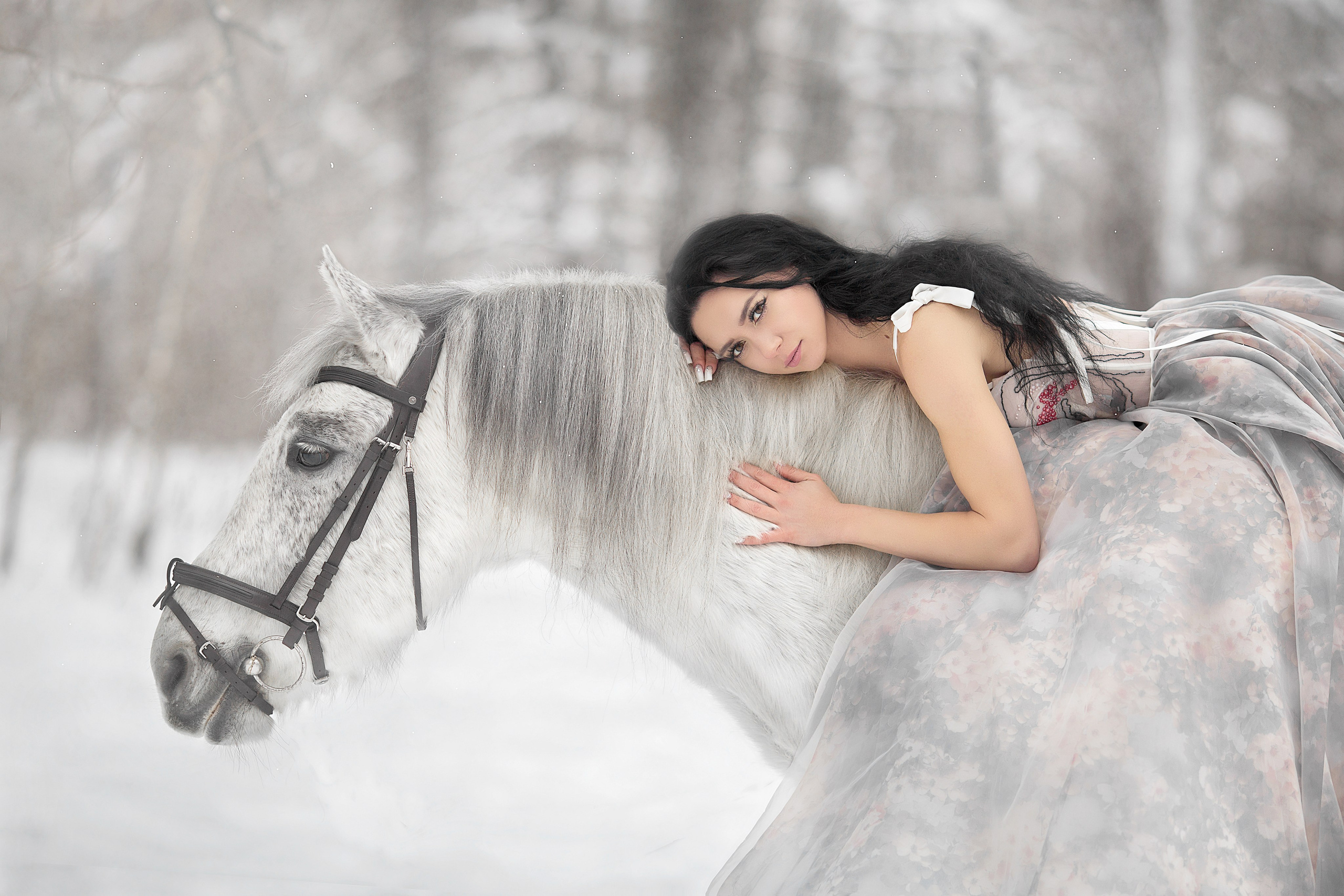 Фотосессия Надежды и ее конелюбимчика. Фотосессия с лошадьми в Нижнем Новгороде