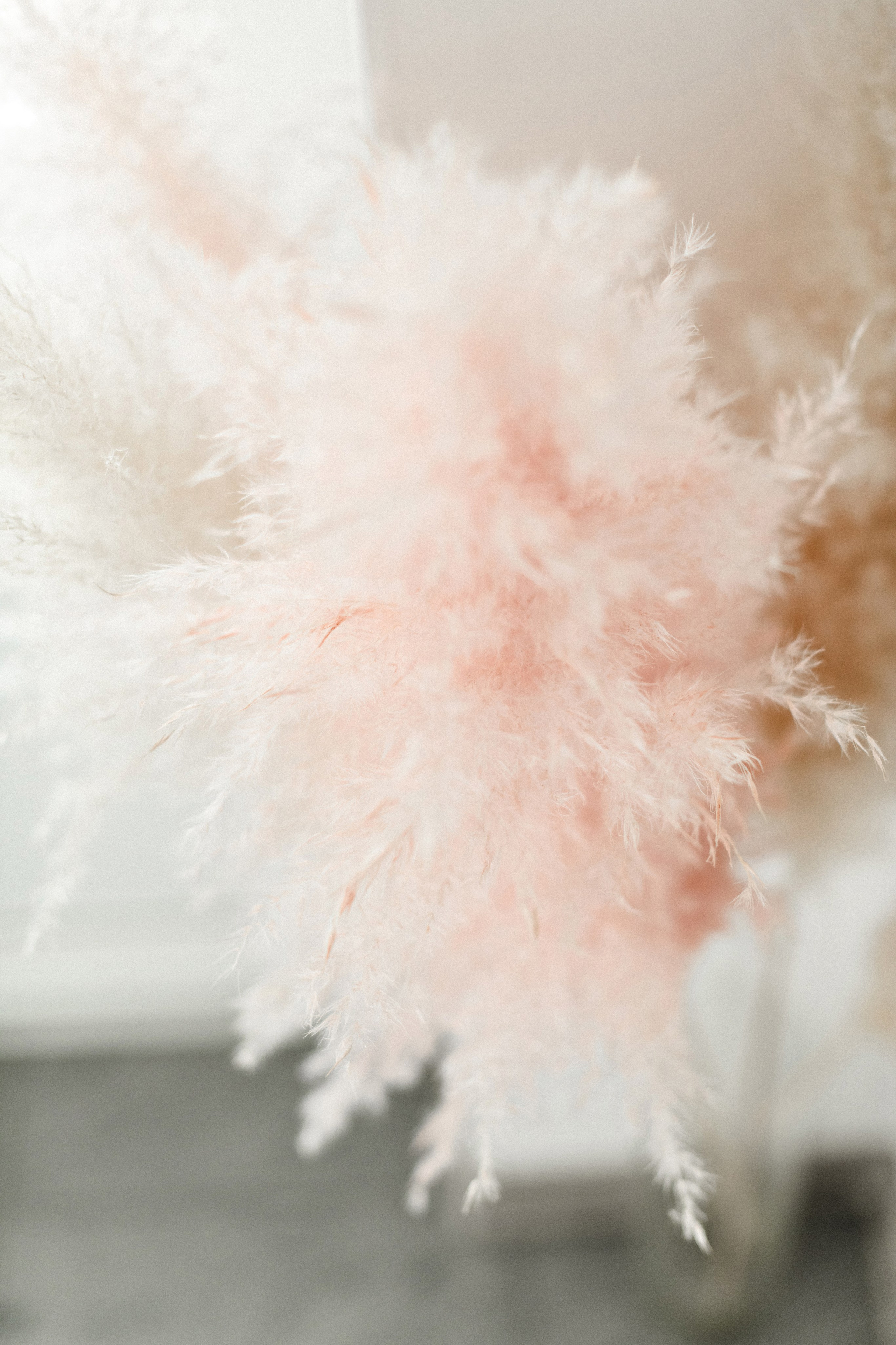 Косметолог. Свадебный фотограф в Санкт-Петербурге София Шубик