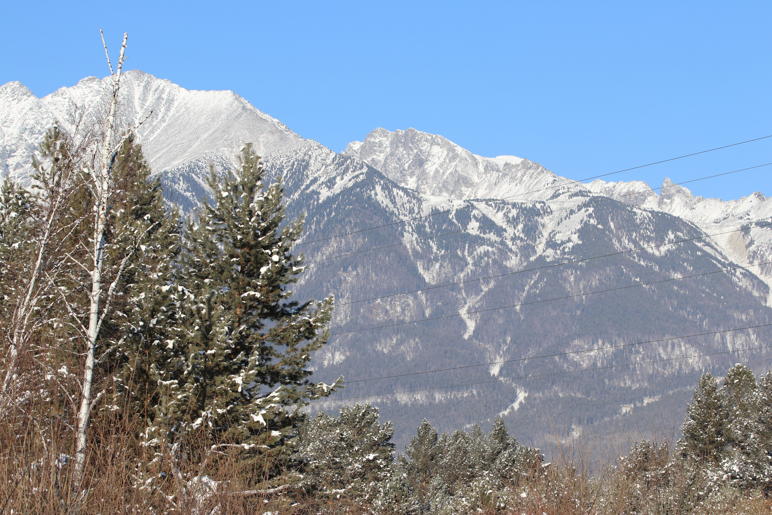 Аршан. Январь 2022. Путешественник-фотограф из Санкт-Петербурга Татьяна Свистулина