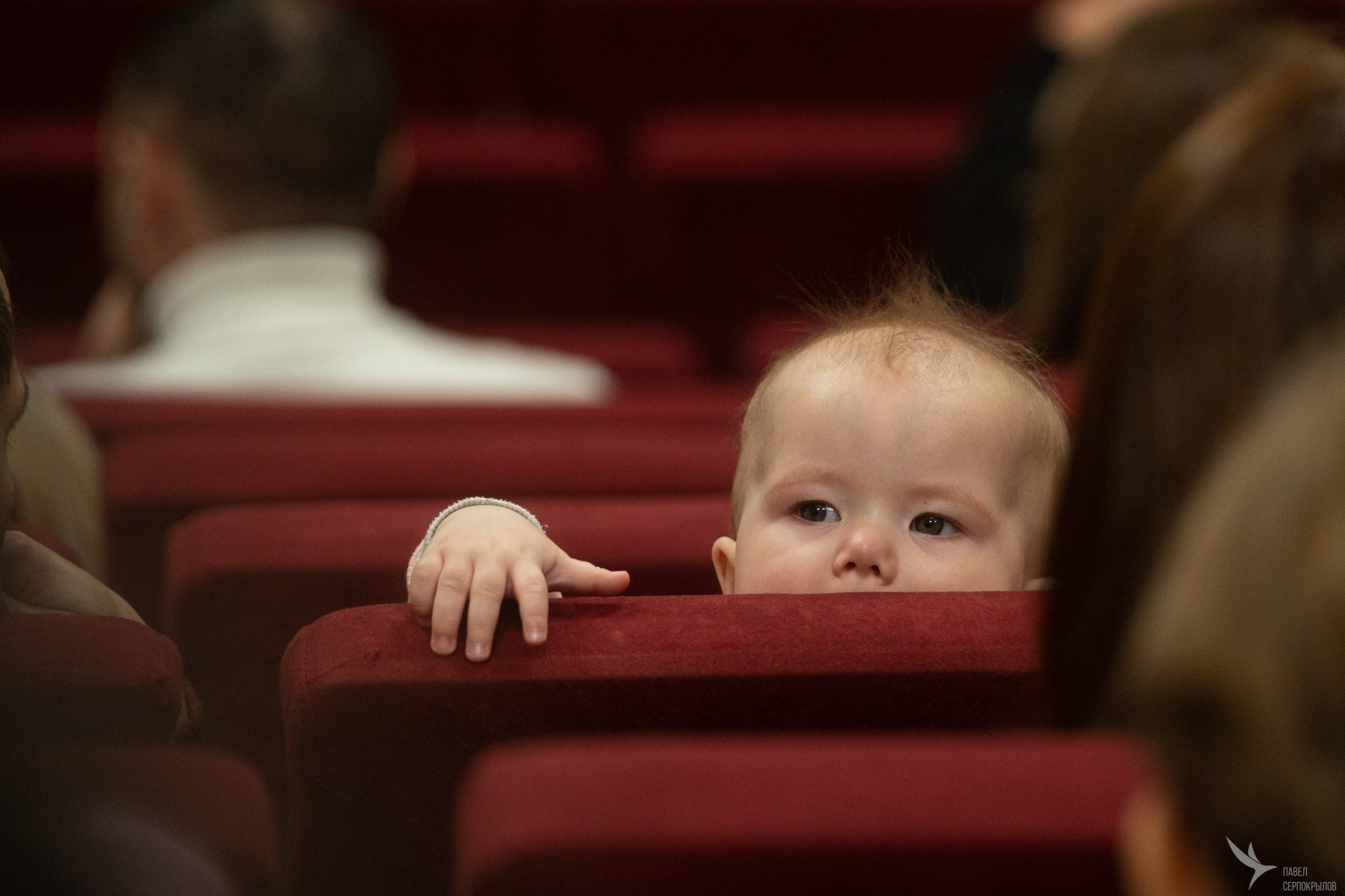 Живи танцуя. Репортажный фотограф в Казани Павел Серпокрылов