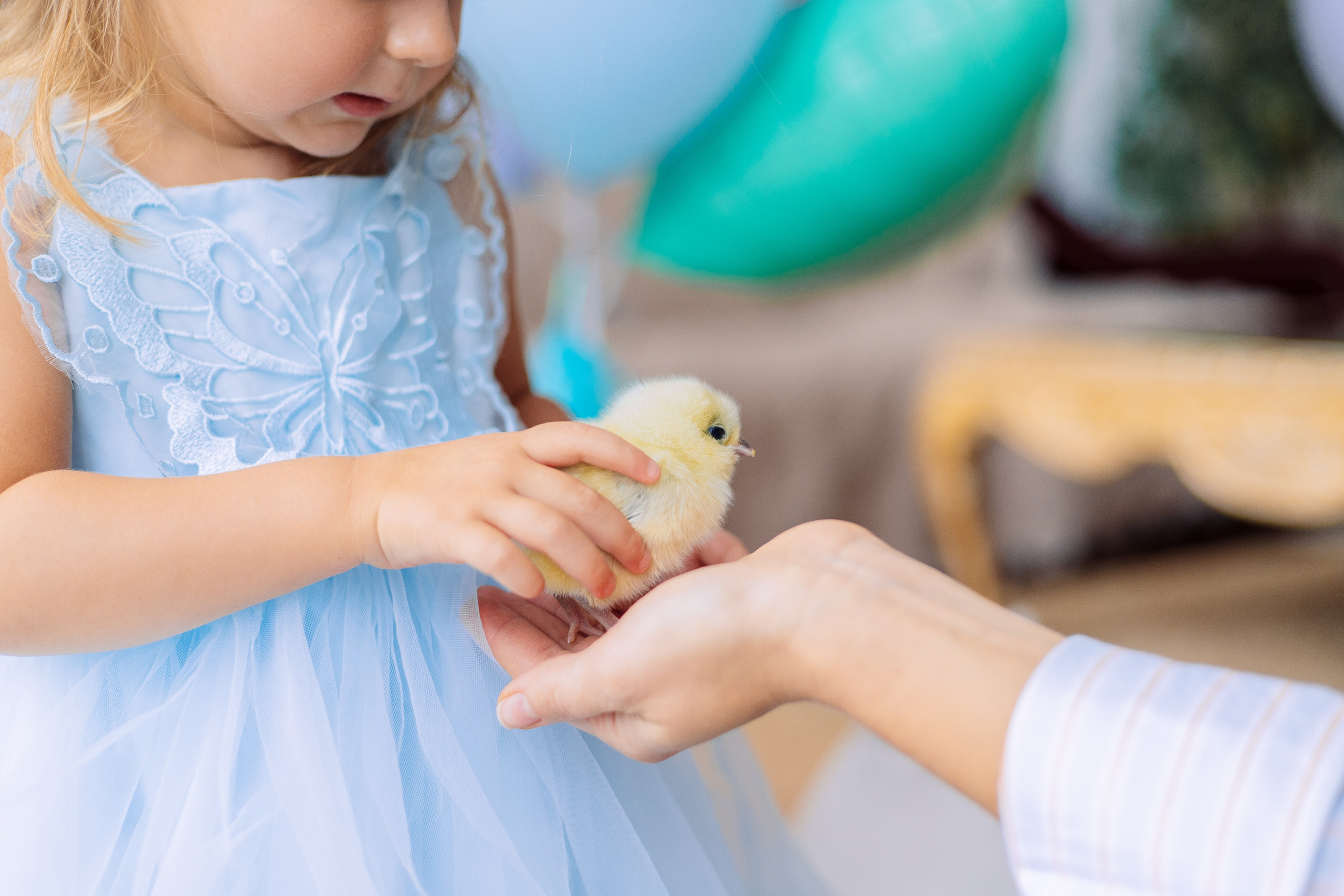 Фотосессия ко дню рождения для детей в Санкт-Петербурге. Фотограф в Санкт-Петербурге, Анна Скворцова