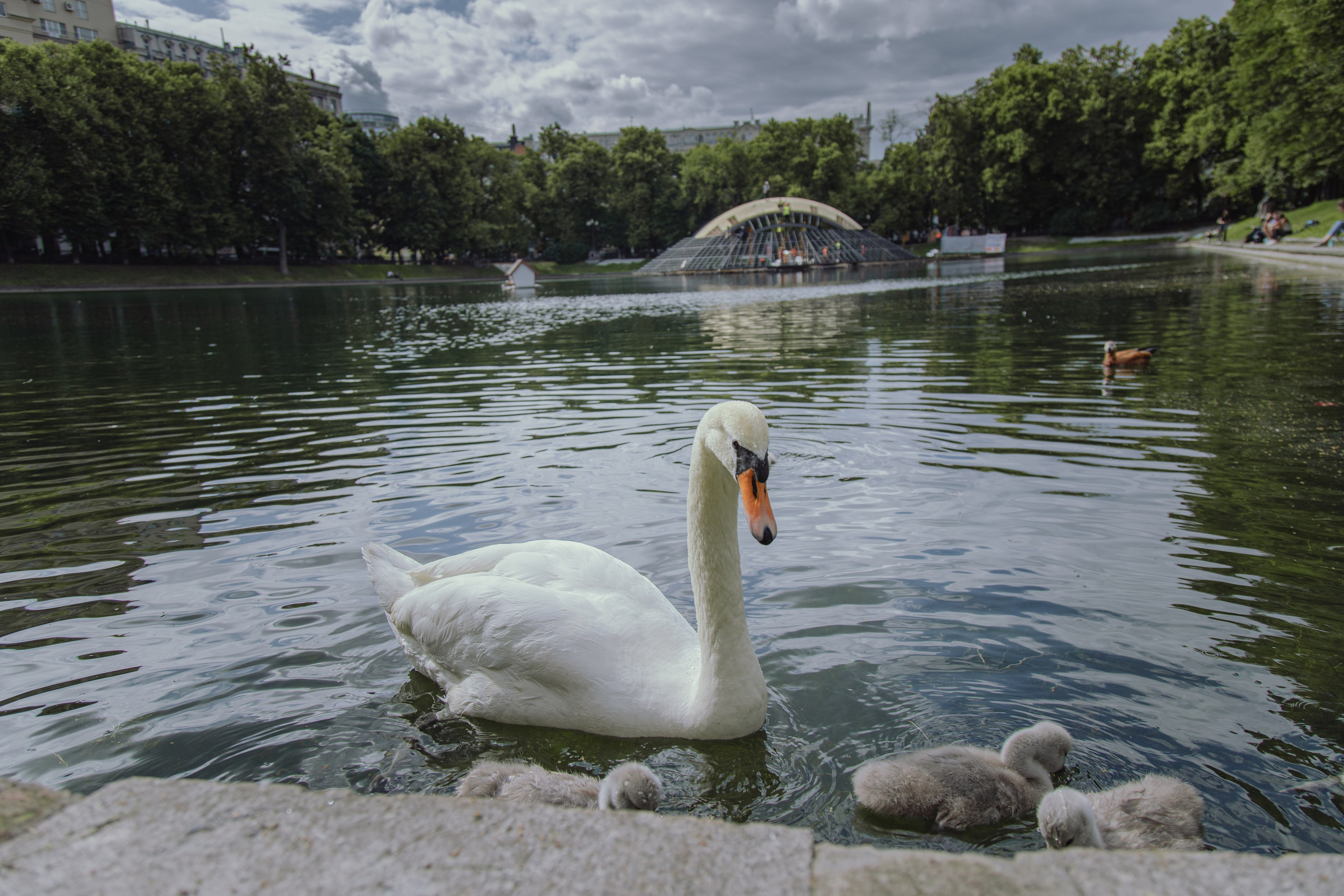 Лето в Москве. Репортажный и портретный фотограф, Влад Хафизов, Москва