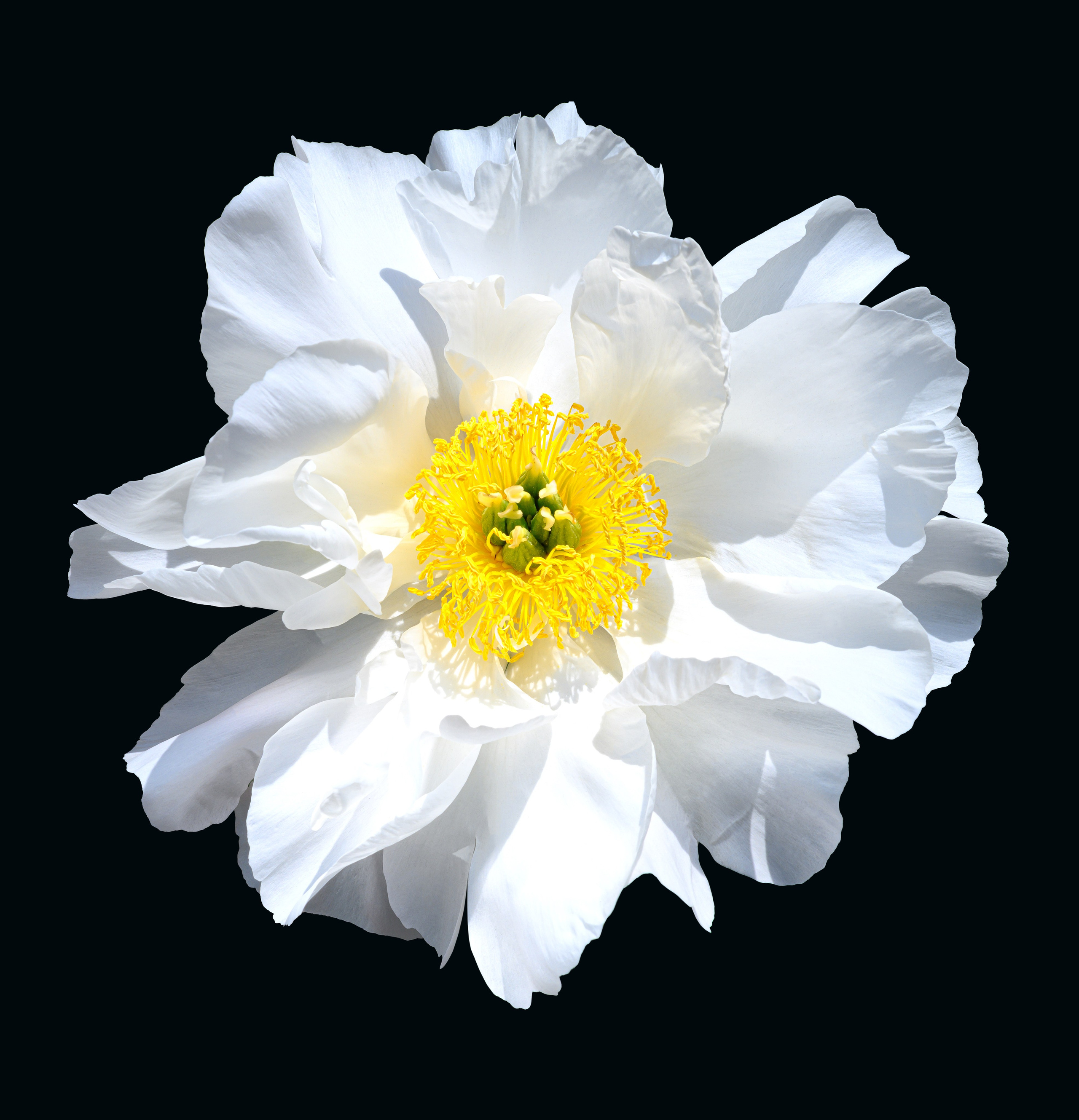 Разное. Fotolux