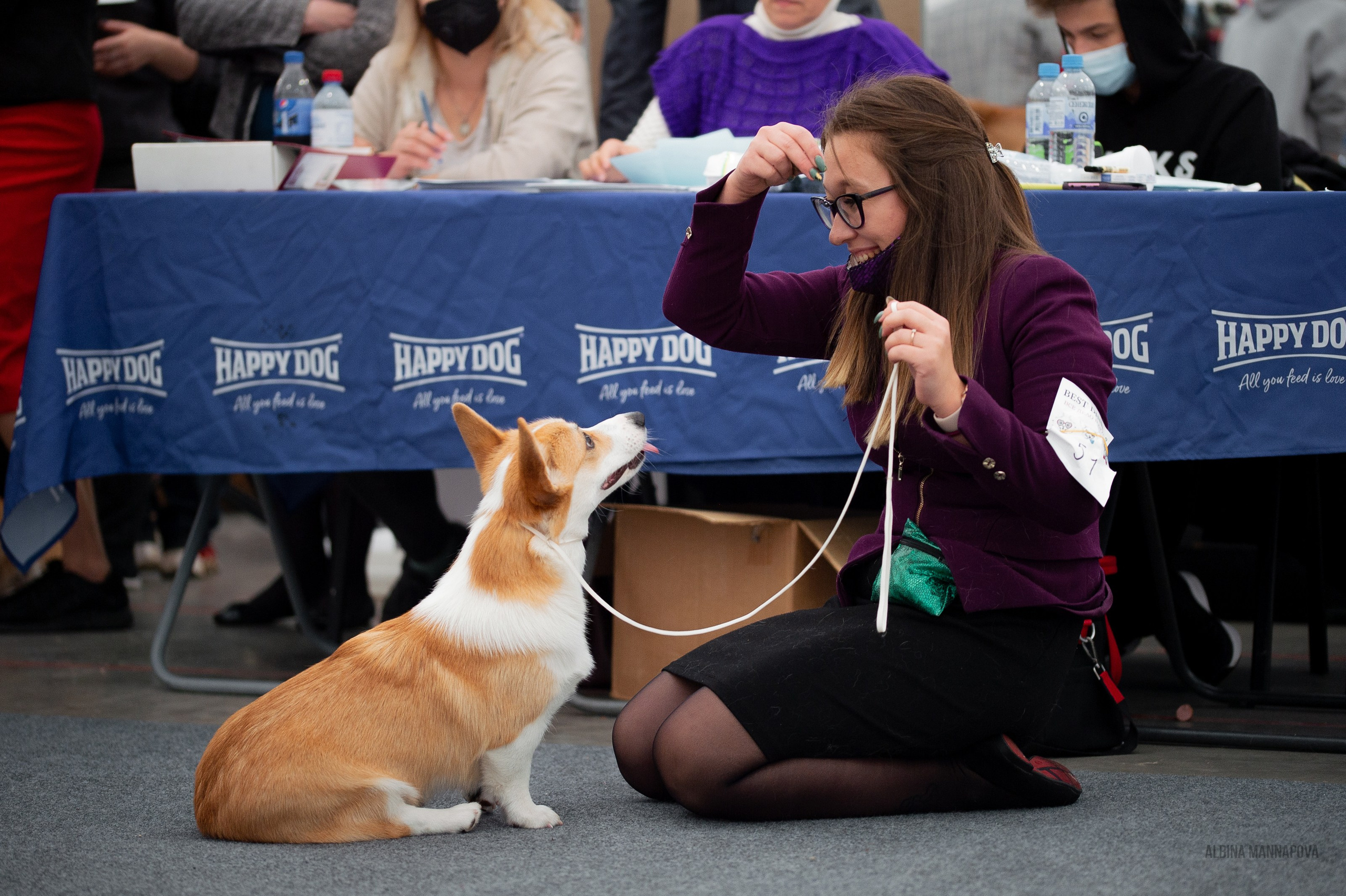 Собаки. FASHION ФОТОГРАФ КАЗАНЬ