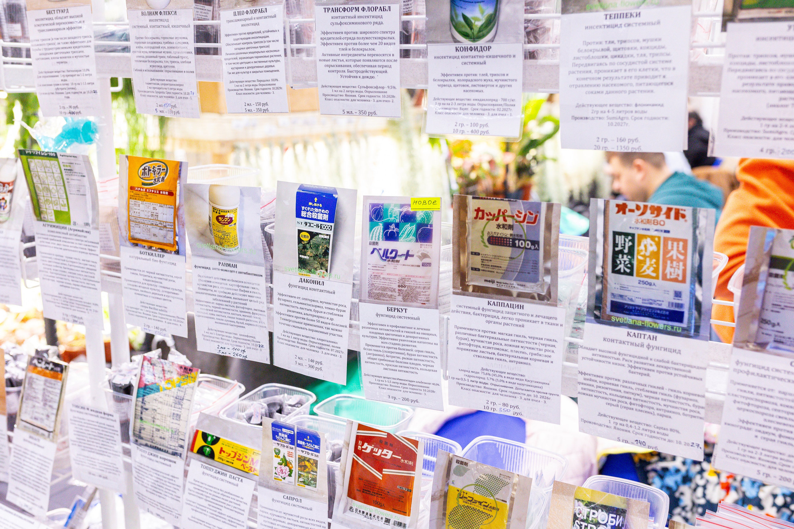 Монстериум 11–12 октября. Александра Куликова фотограф, Москва