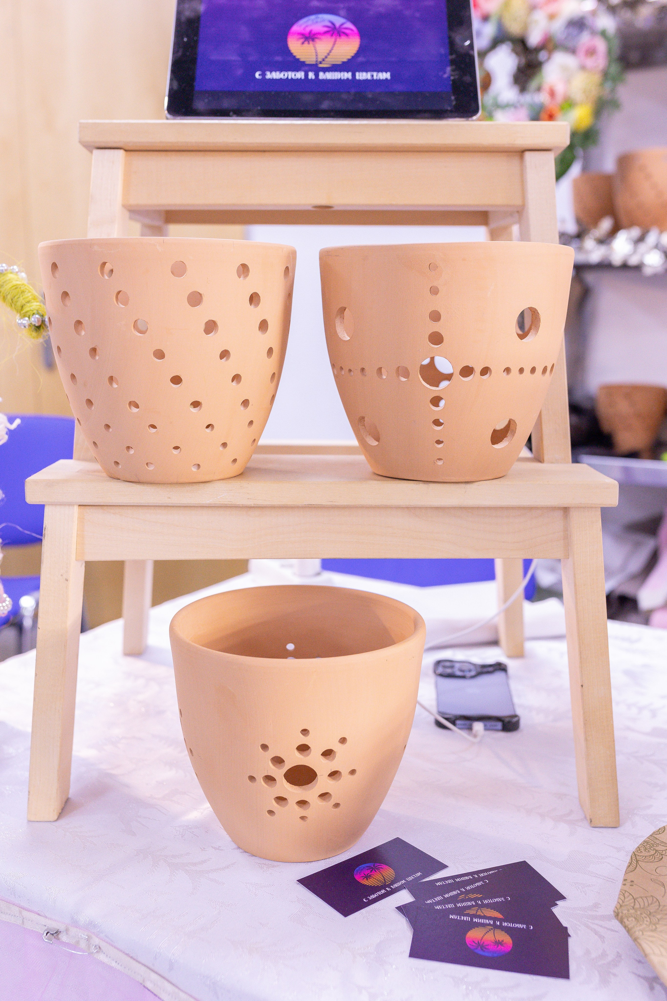 Орхидиум 12.2025. Александра Куликова фотограф, Москва