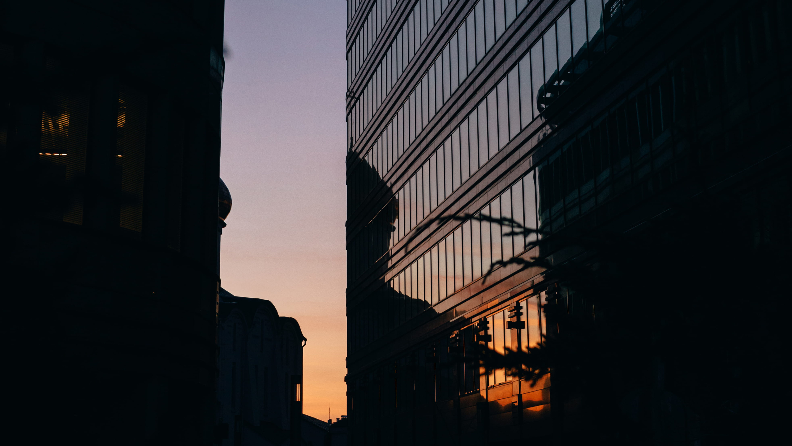 Уличный и портретный фотограф в Москве Лина Торн