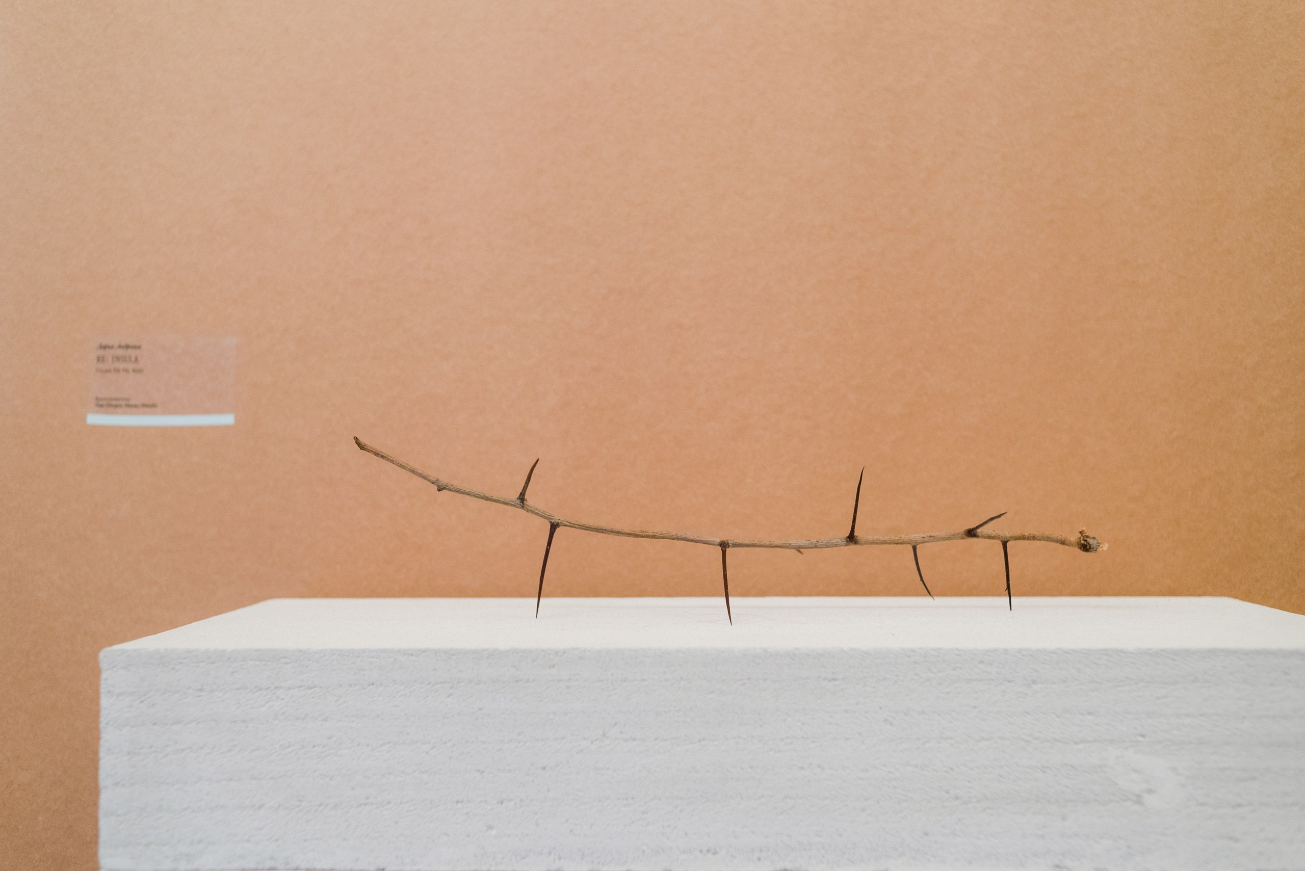 Выставки. Фотограф Руслан Хафизов