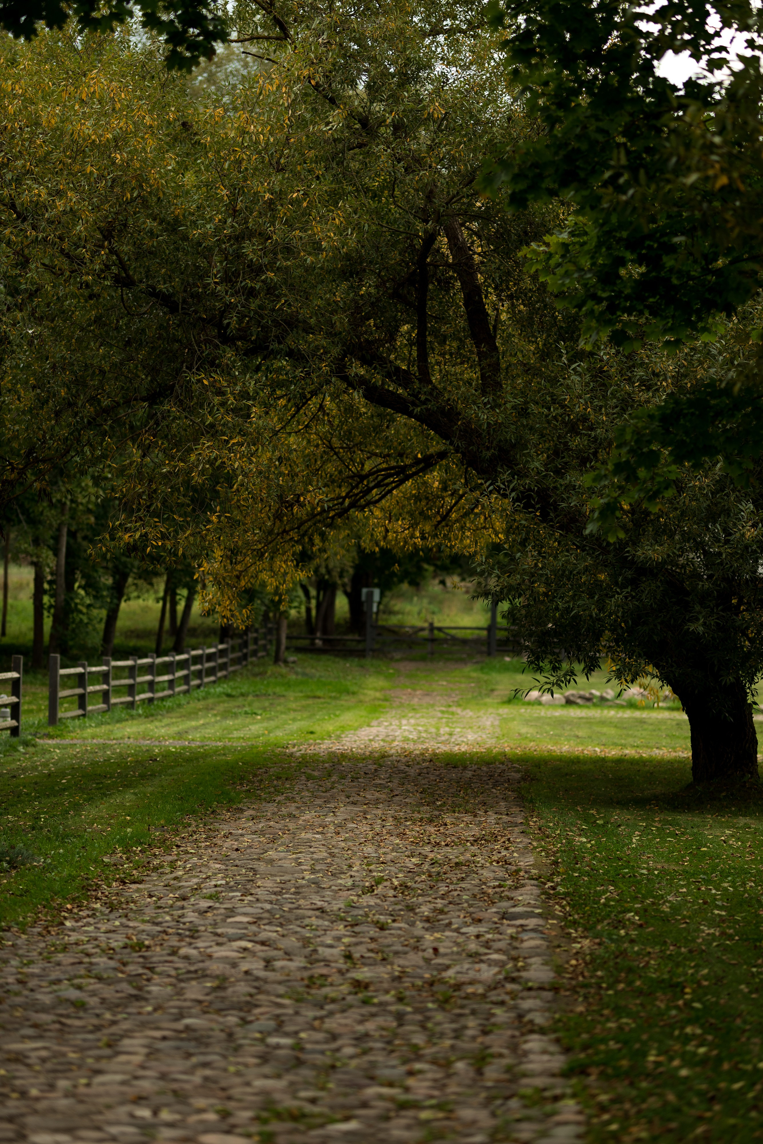 Д&Е. Свадебный фотограф Гомель