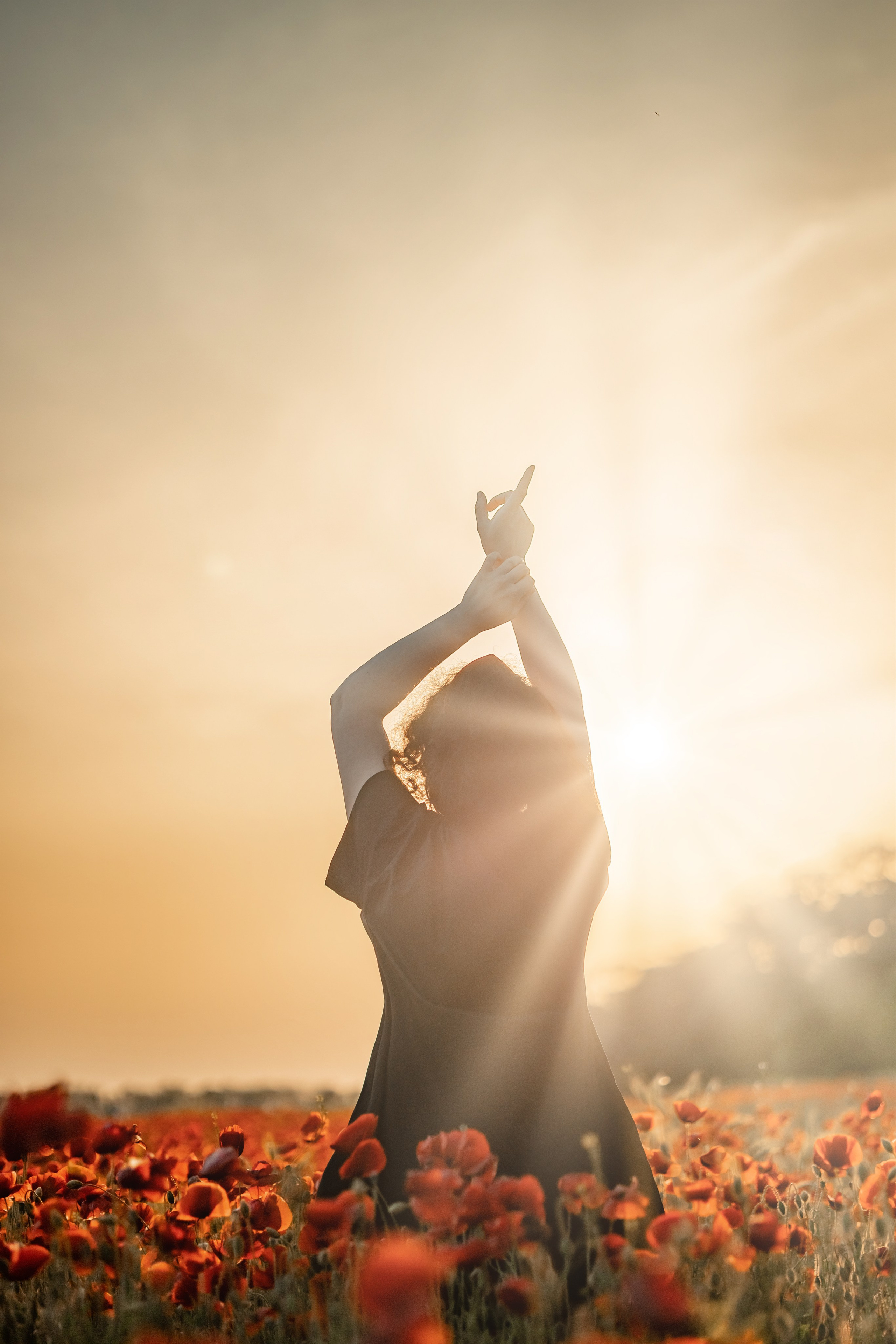 Яркие маки. Художественный фотограф Анапа Александра Долбикова