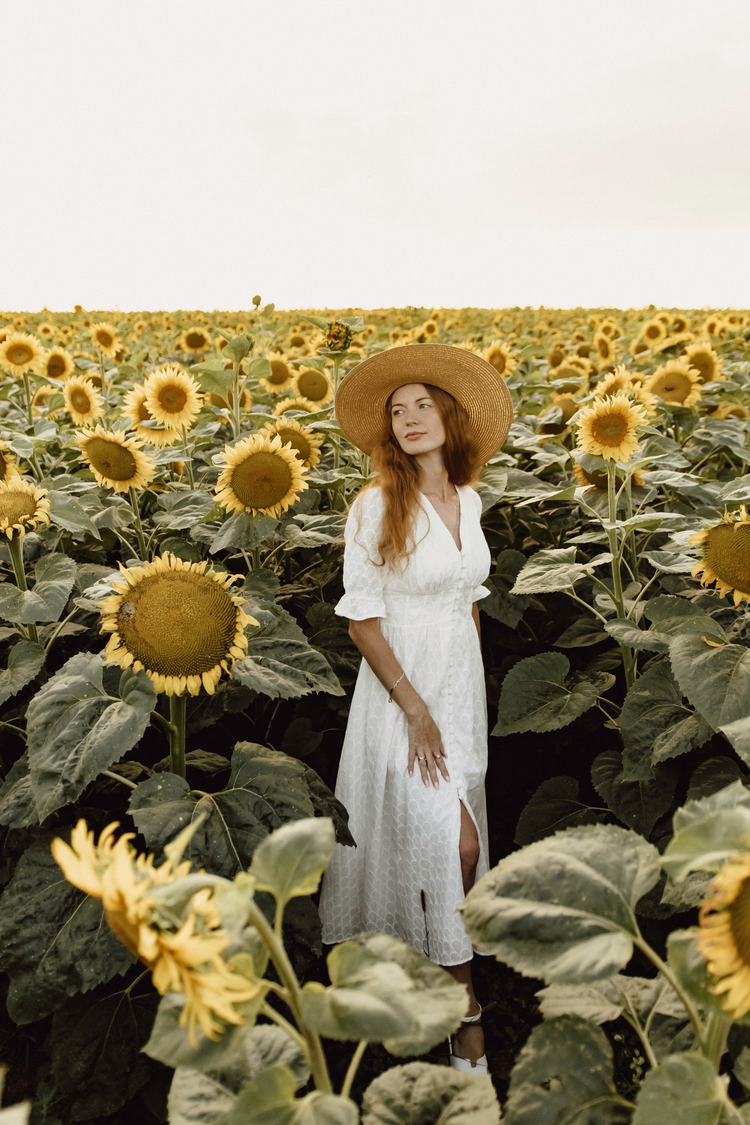 Елена в подсолнухах. Фотограф в Кирове и Кирово-Чепецке Валерия Шиляева