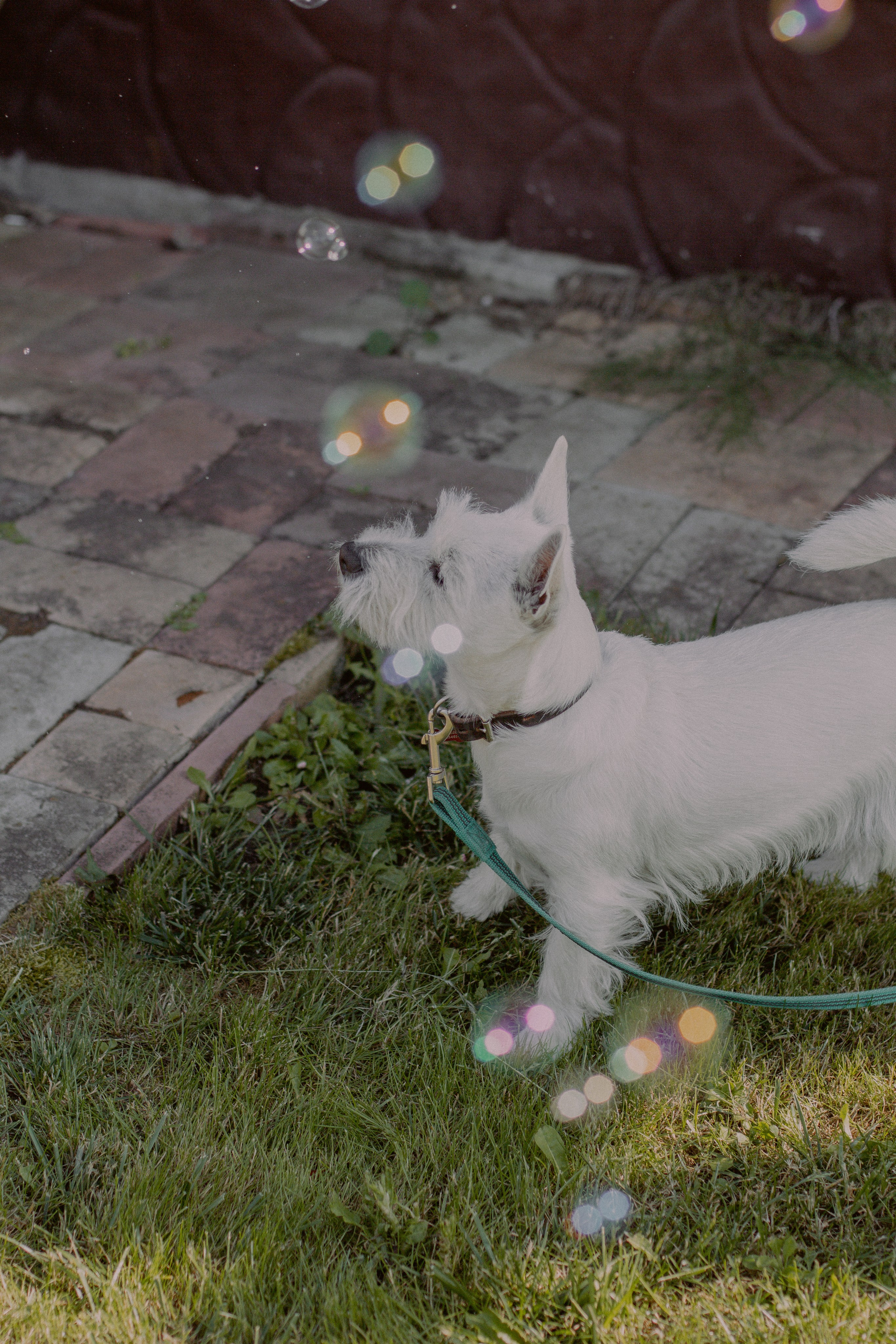 Семейный день. Пирогова Полина, семейный и детский фотограф Москва, Видное