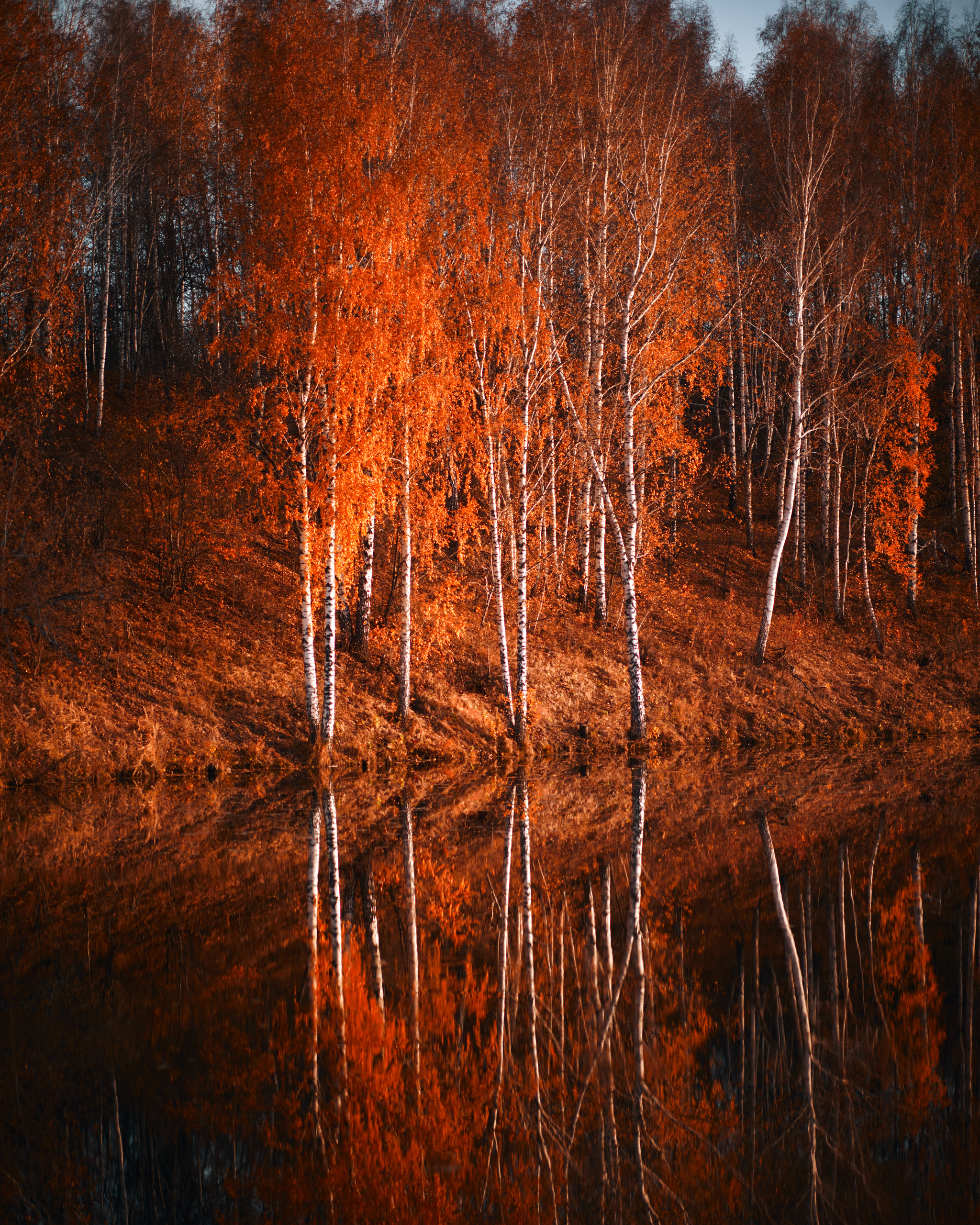 Теплая осень. Иван Март Свадебный и портретный фотограф Тюмень