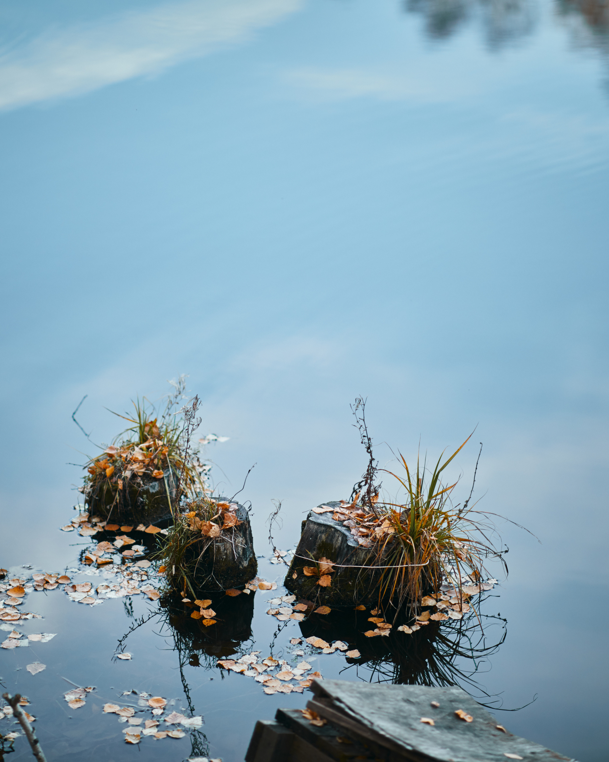 Теплая осень. Иван Март Свадебный и портретный фотограф Тюмень