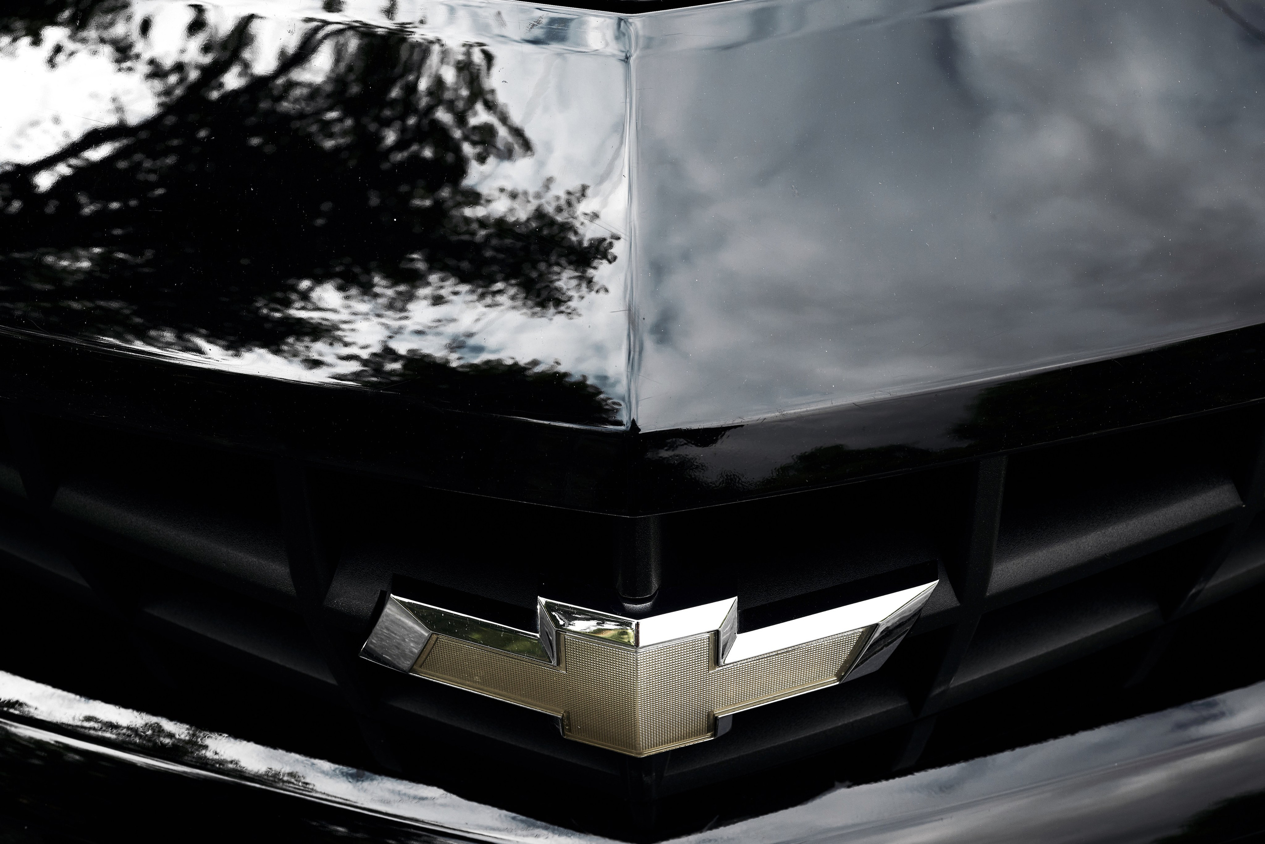 Не просто друзья… а лучшие ❤. Фотограф Михаил Ефремов