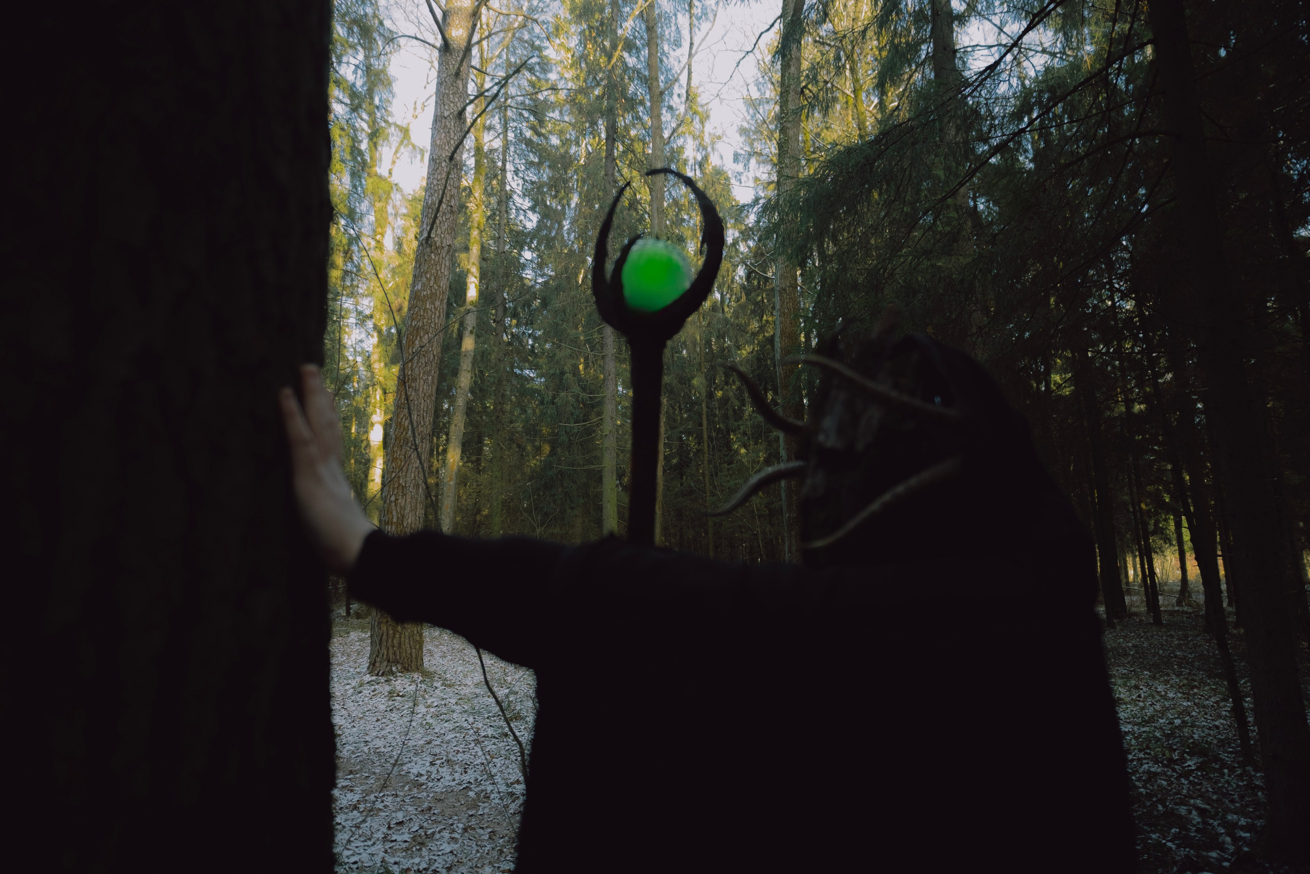 «Дух леса». Фотограф (Москва, Мытищи)— Комова Анастасия